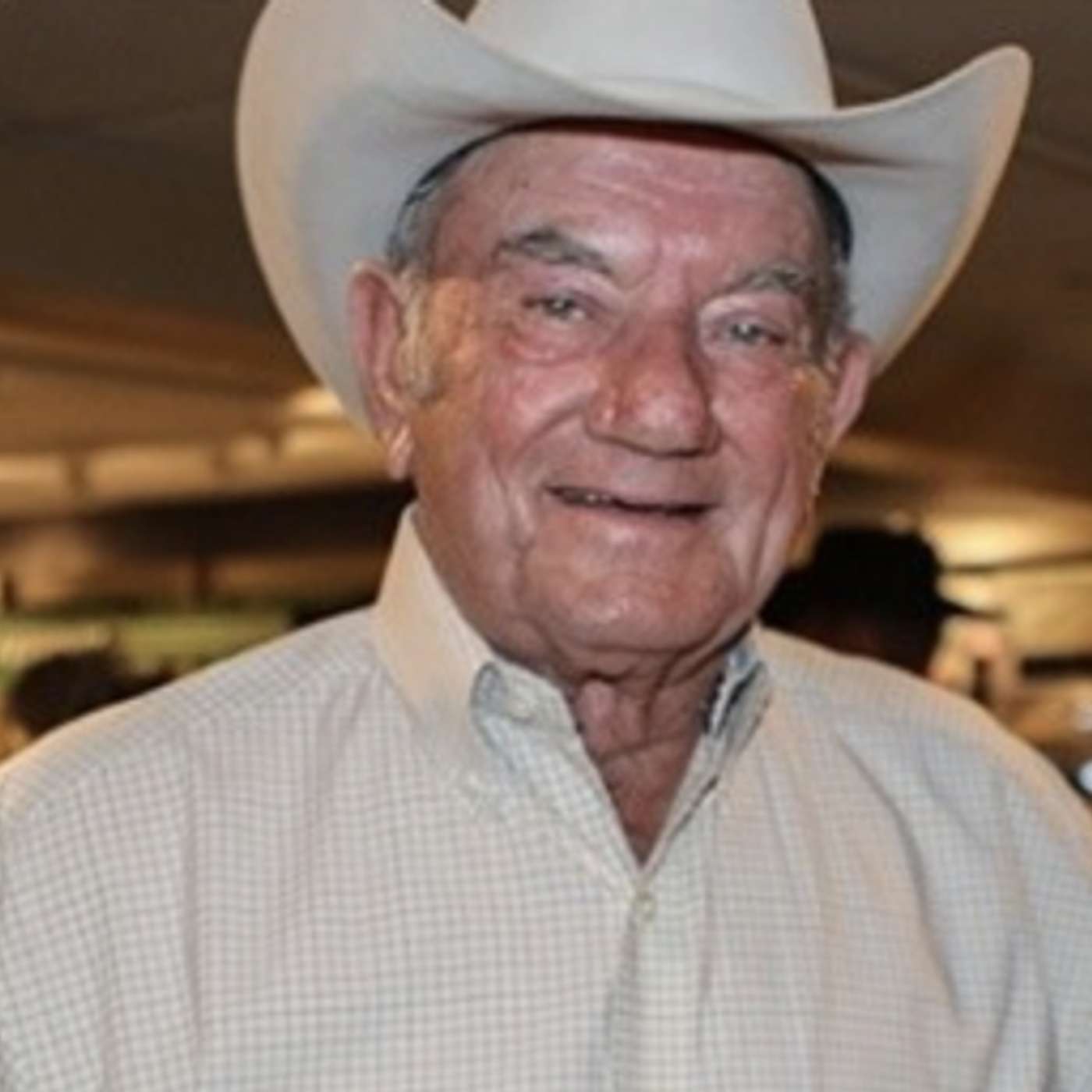 StallioneSearch Podcasts