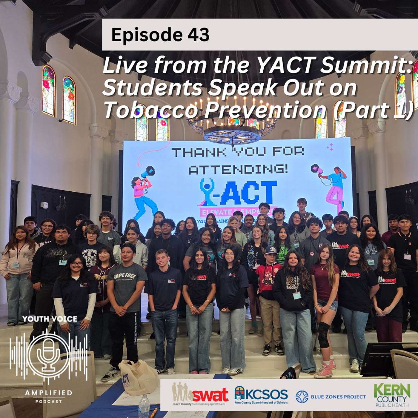 Youth Voice Amplified
