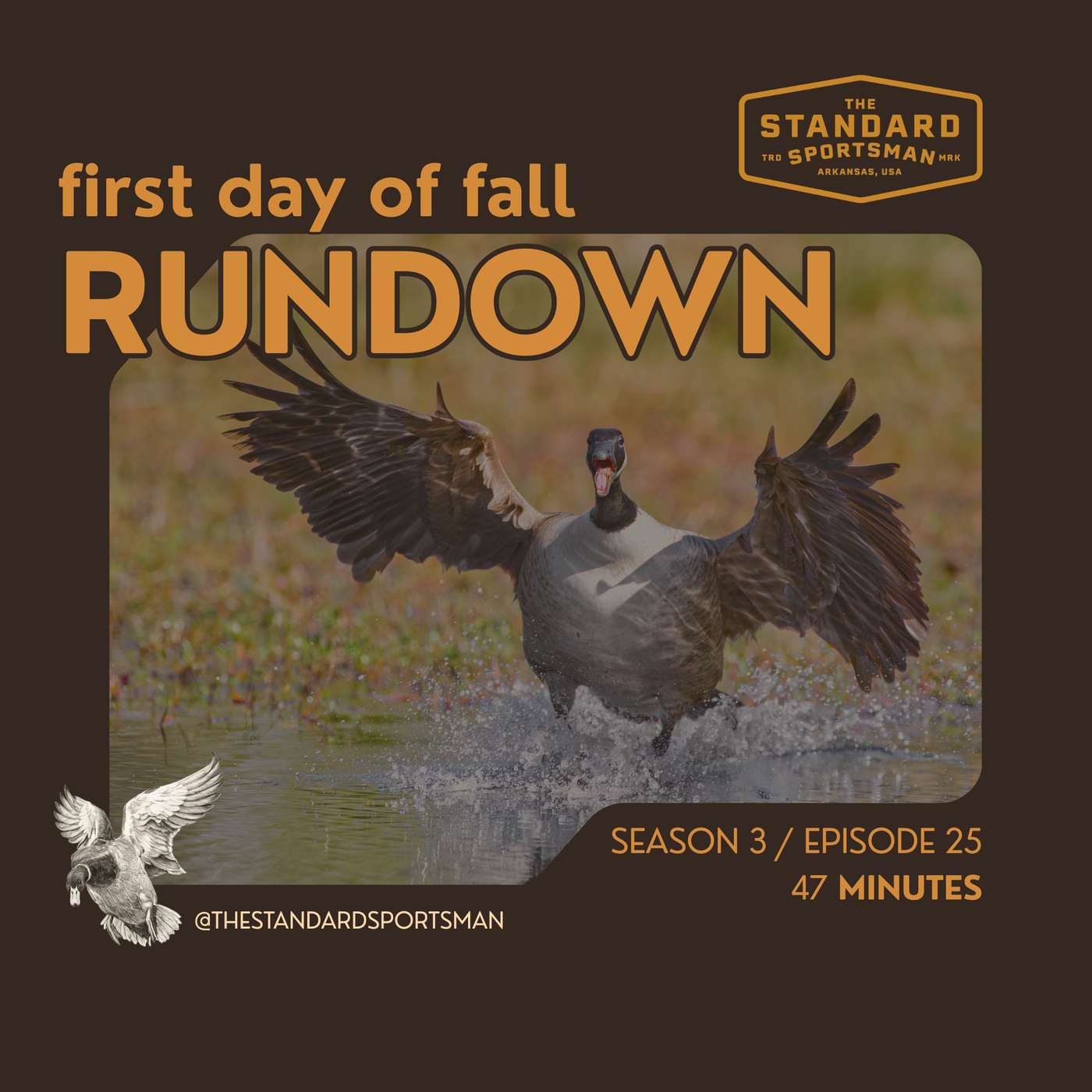 First Day of Fall Rundown
