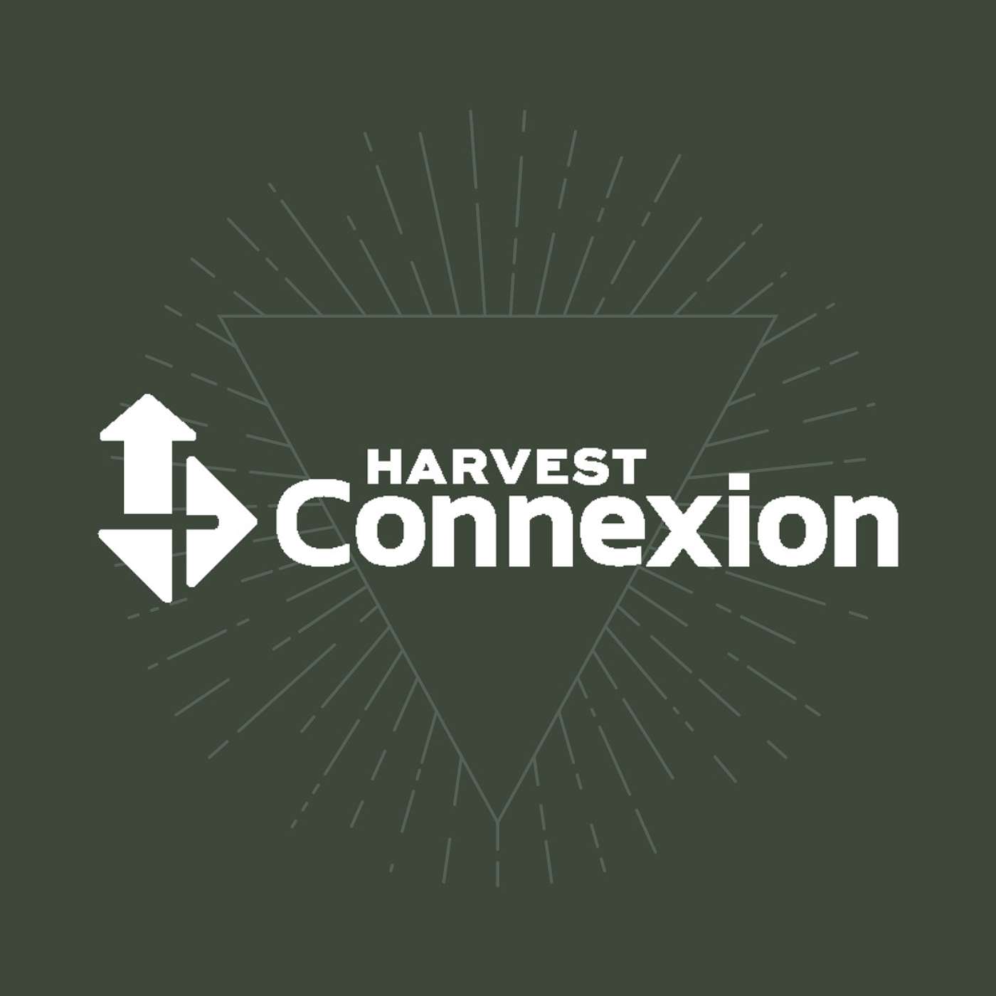 Sundays at Connexion
