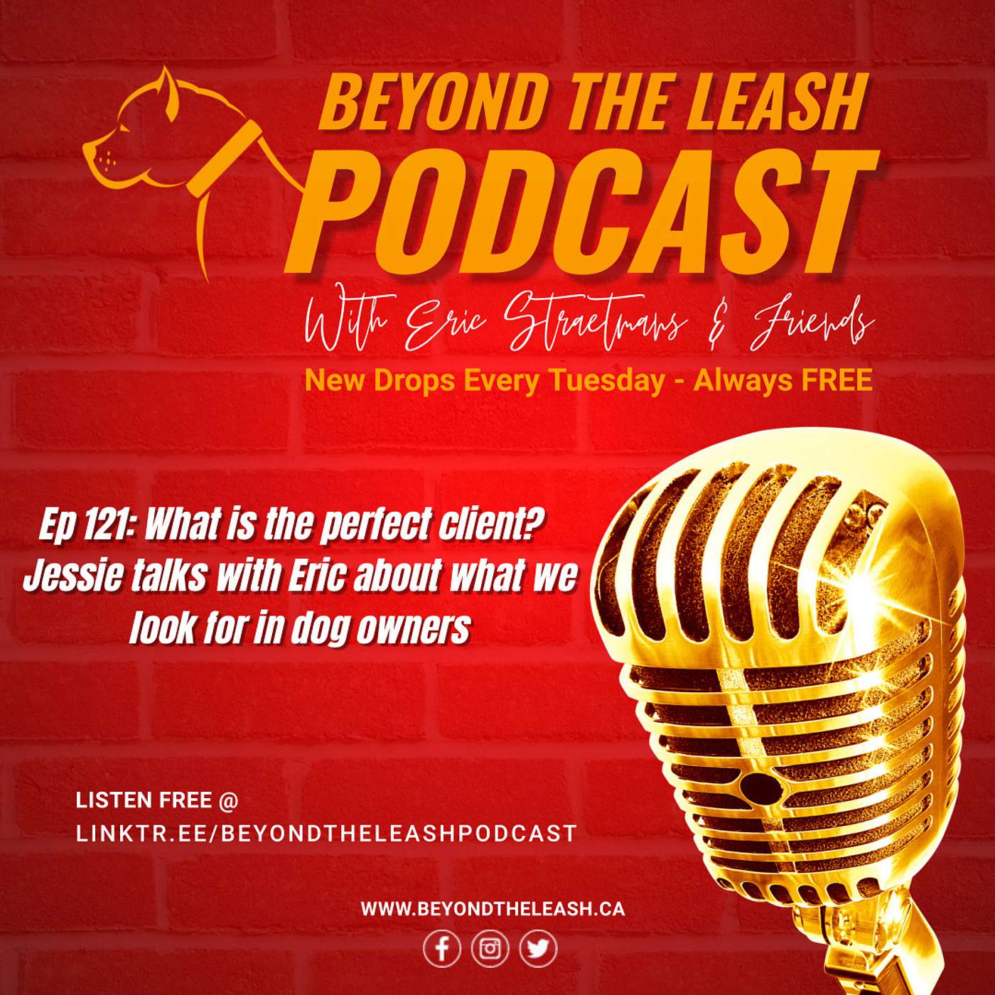 Beyond The Leash