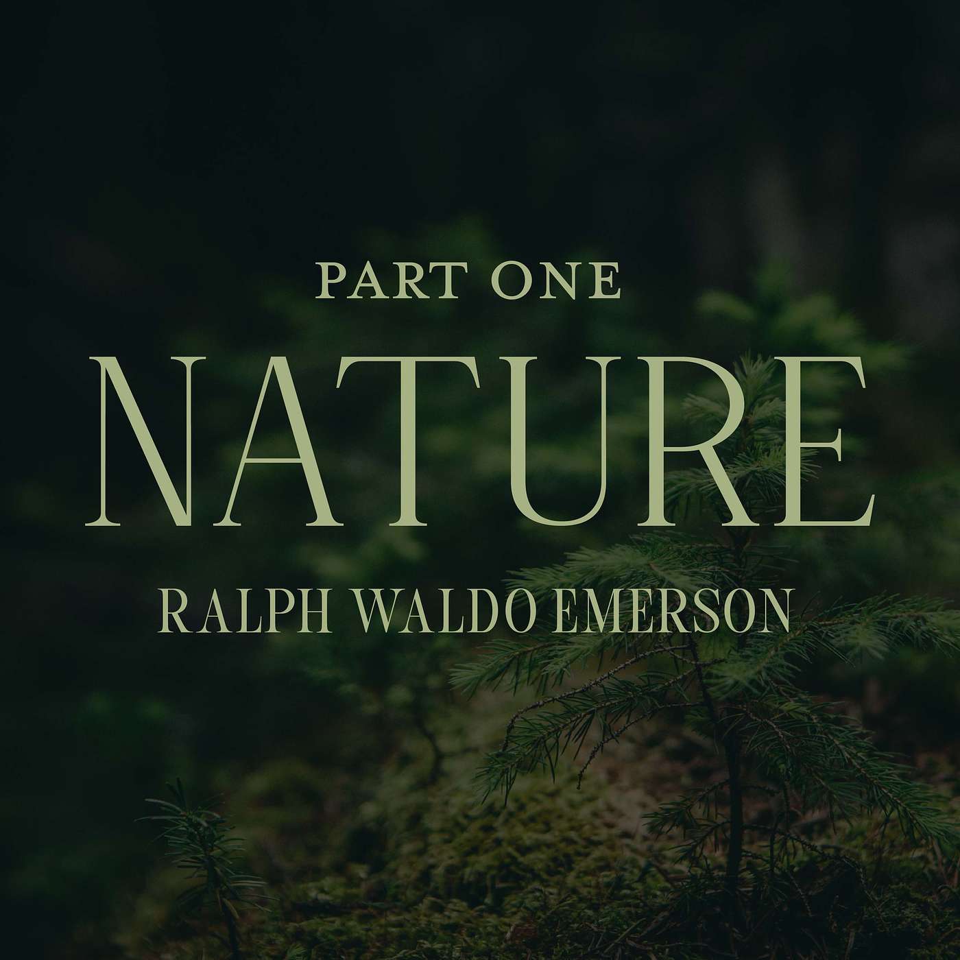 Nature Part 1, by Ralph Waldo Emerson - Gentle Reading for Meditation and Sleep