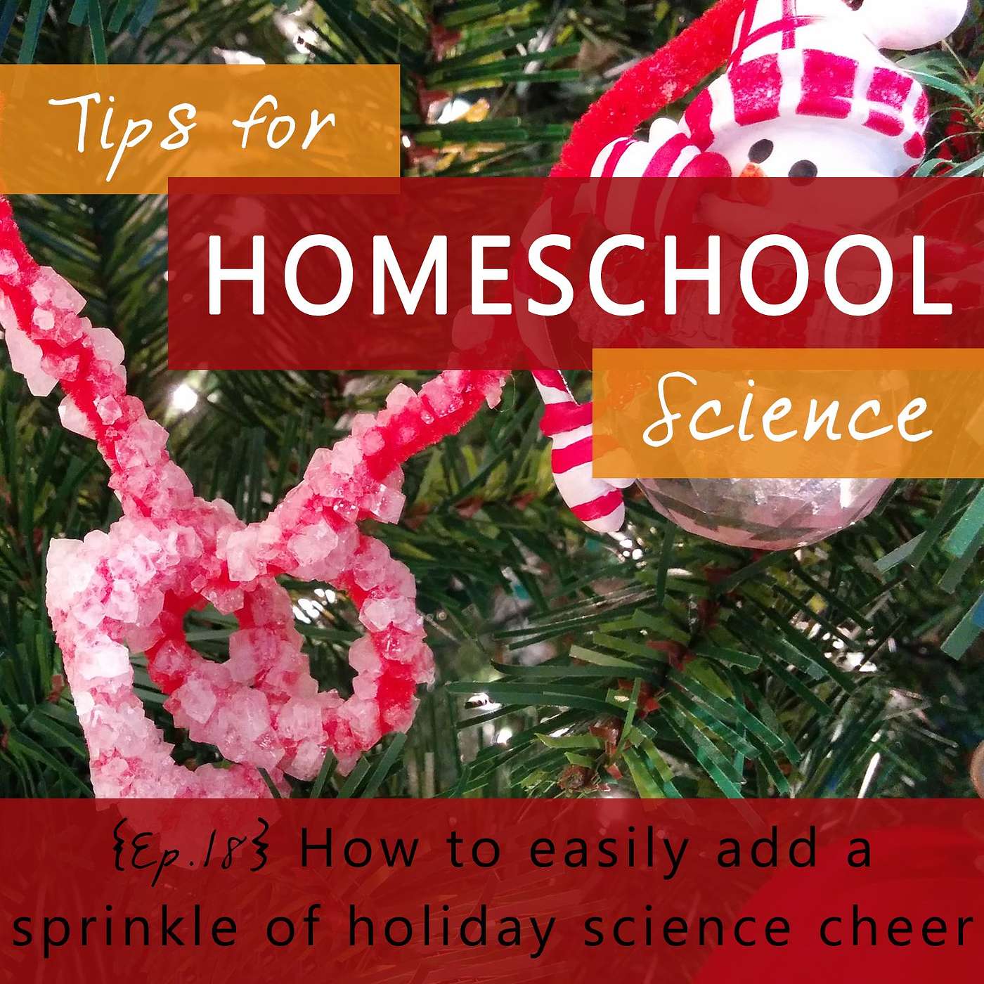 Ep 18 - How to easily add a sprinkle of holiday science cheer episode artwork