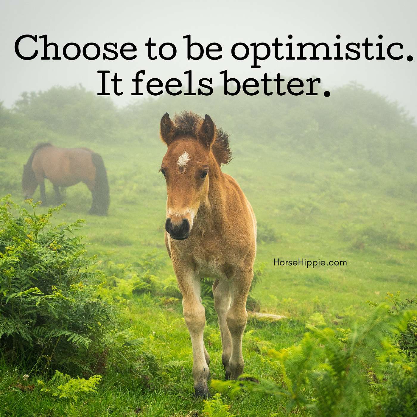 Be Optimistic