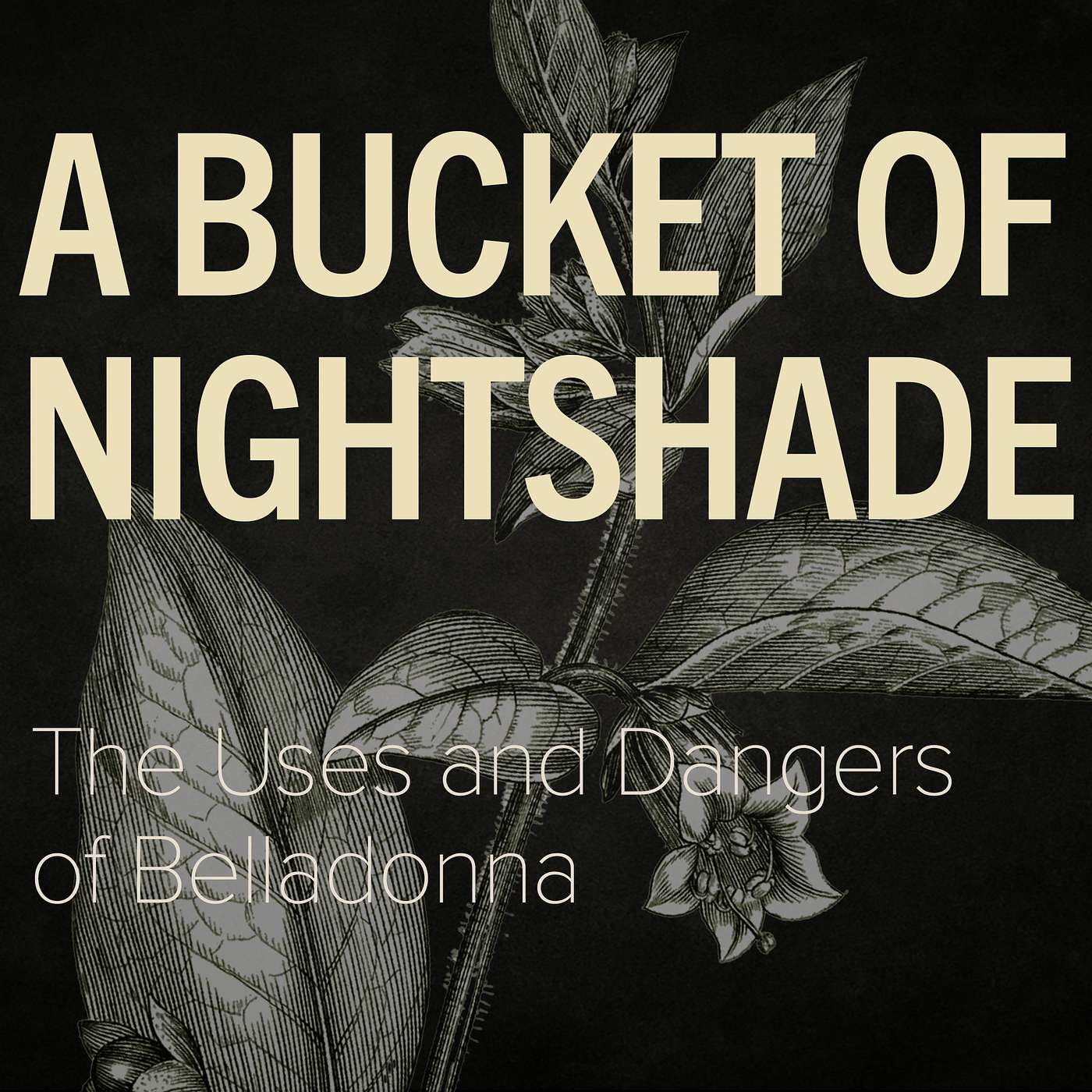 A Bucket of Nightshade - The Uses and Dangers of Belladonna