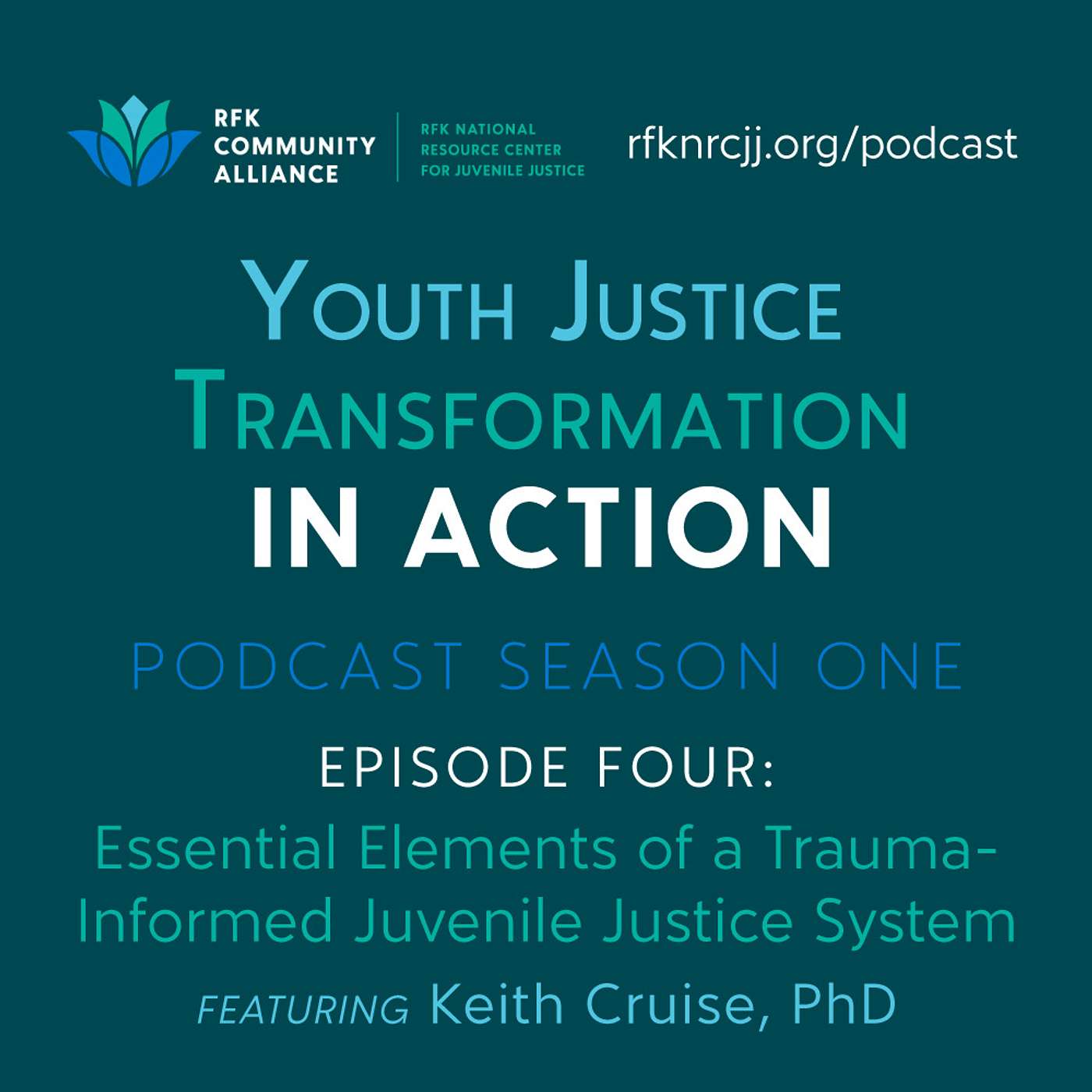 Youth Justice Transformation in Action