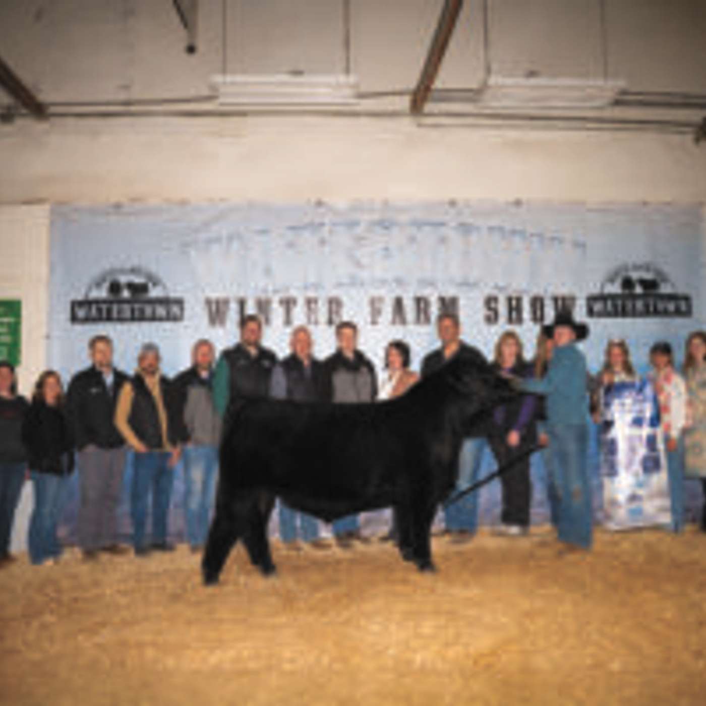 Simmental and Shorthorn Crowned