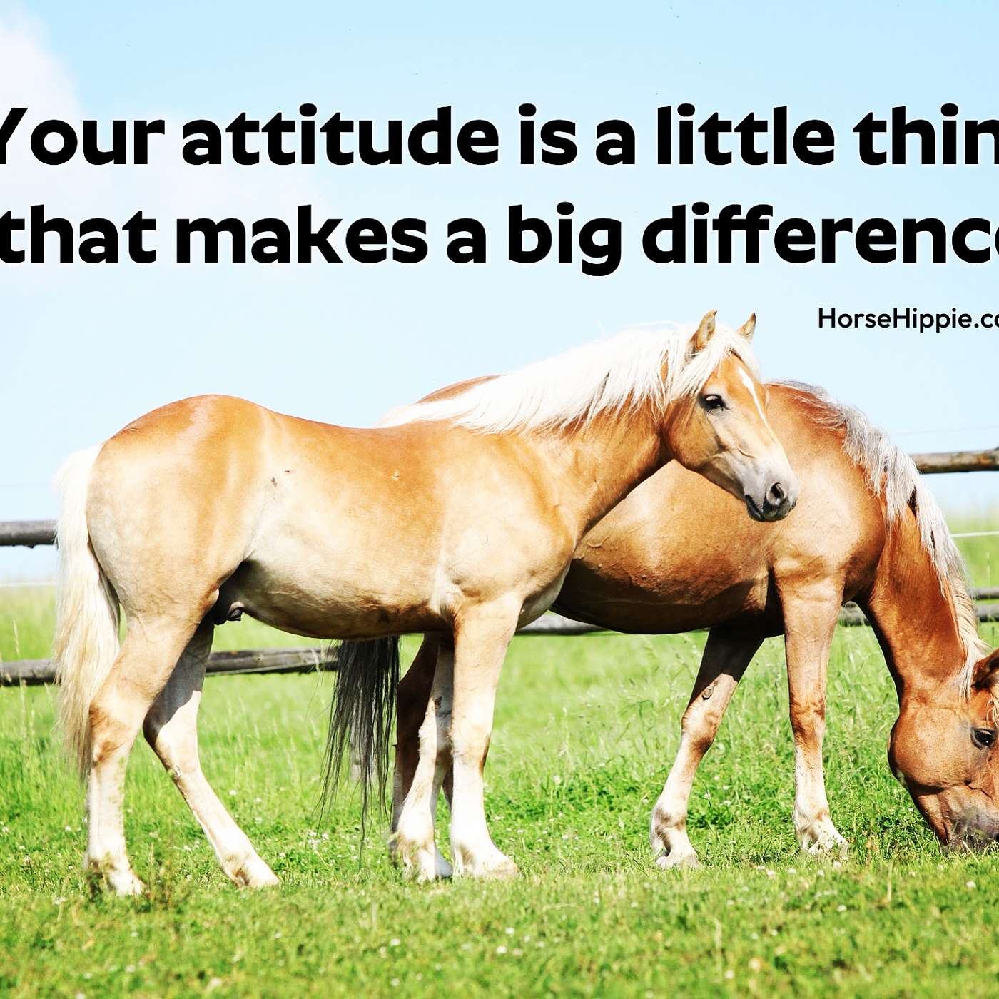A Little Big Thing Called Attitude