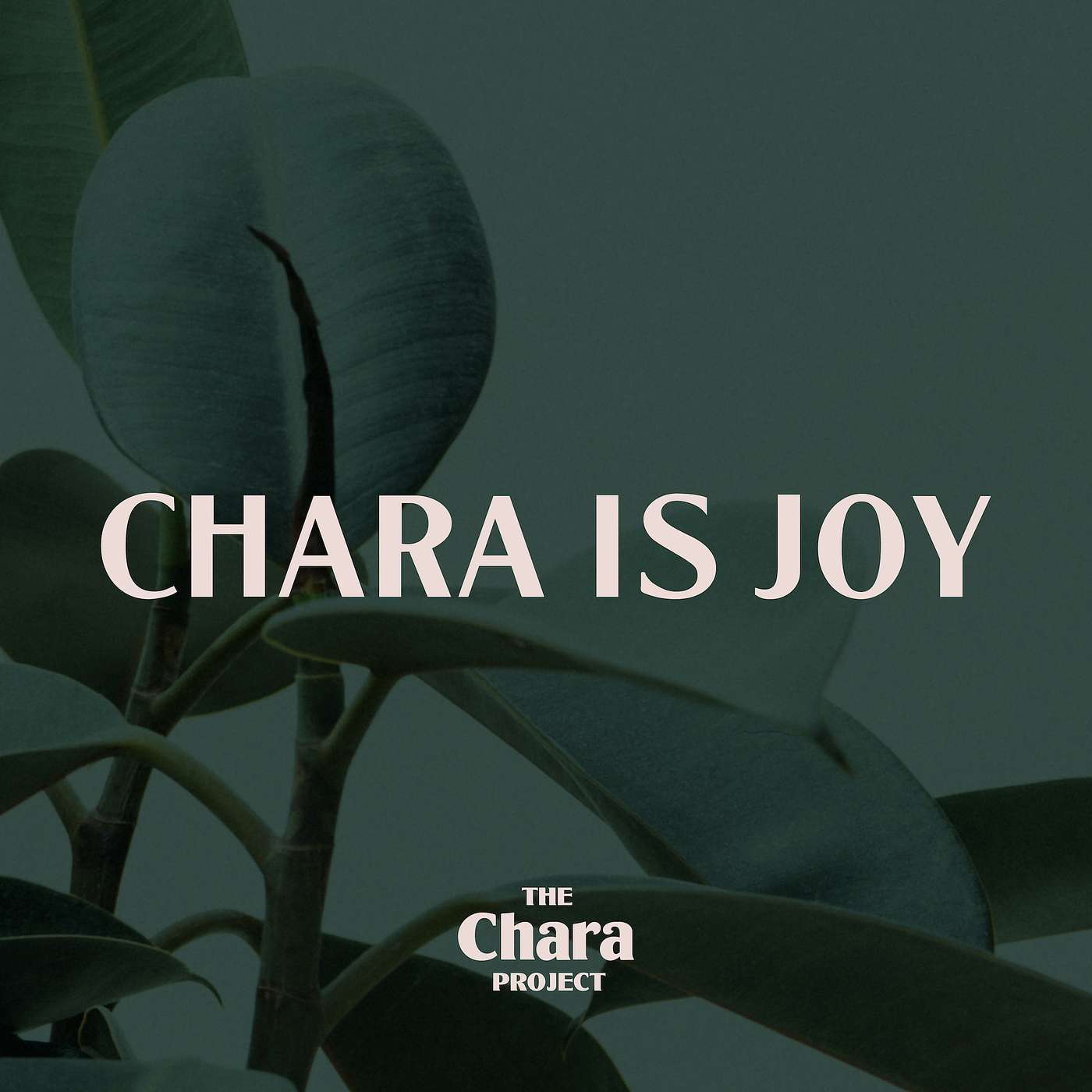 The Chara Project Podcast
