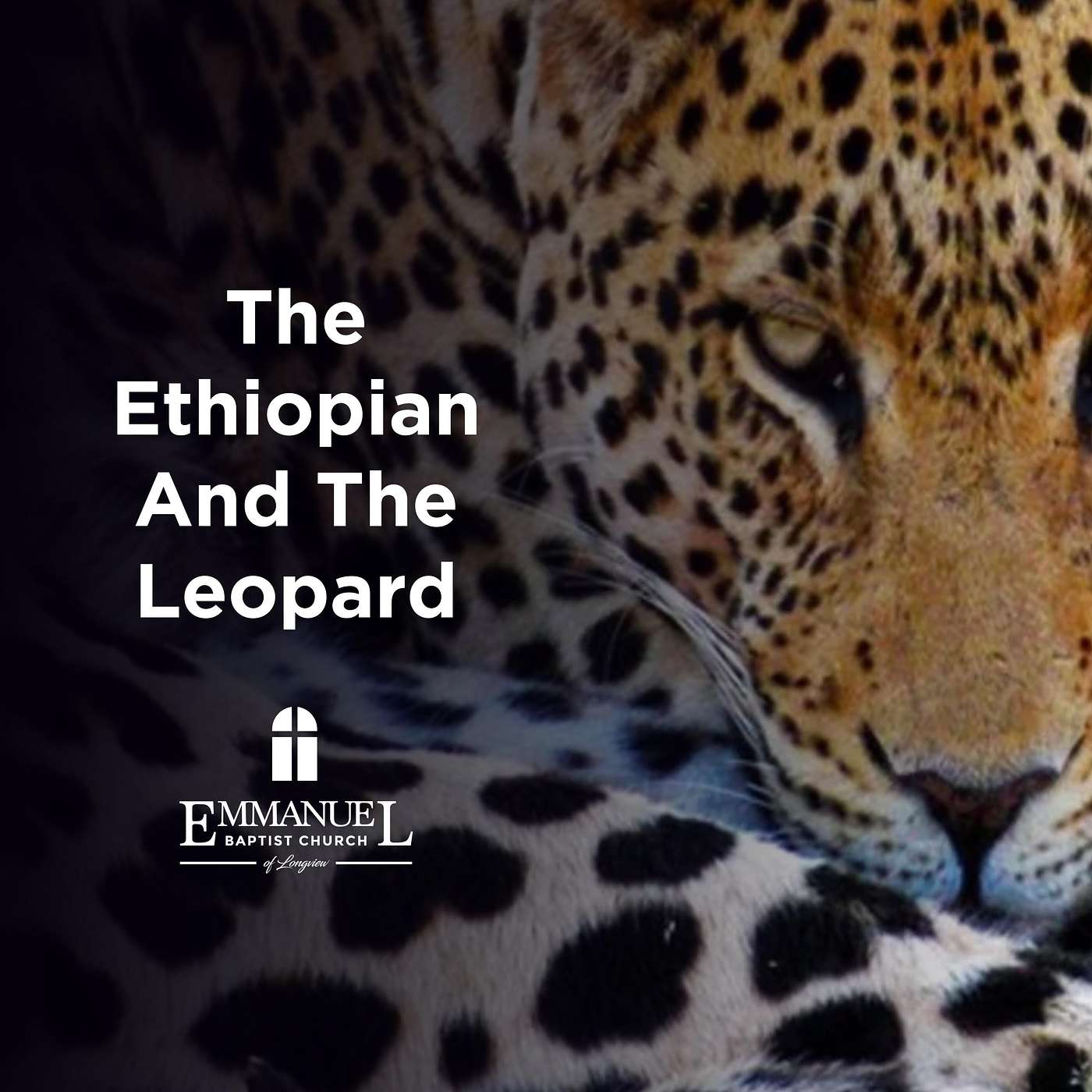 The Ethiopian And The Leopard - Sunday AM 11/05/2023 - Pastor Bob Gray II episode artwork