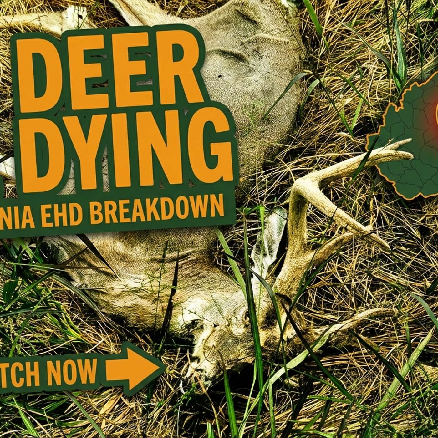 Chris Ashley on EHD in West Virginia’s Deer Season: Causes, Impact, and What Hunters Need to Know episode artwork