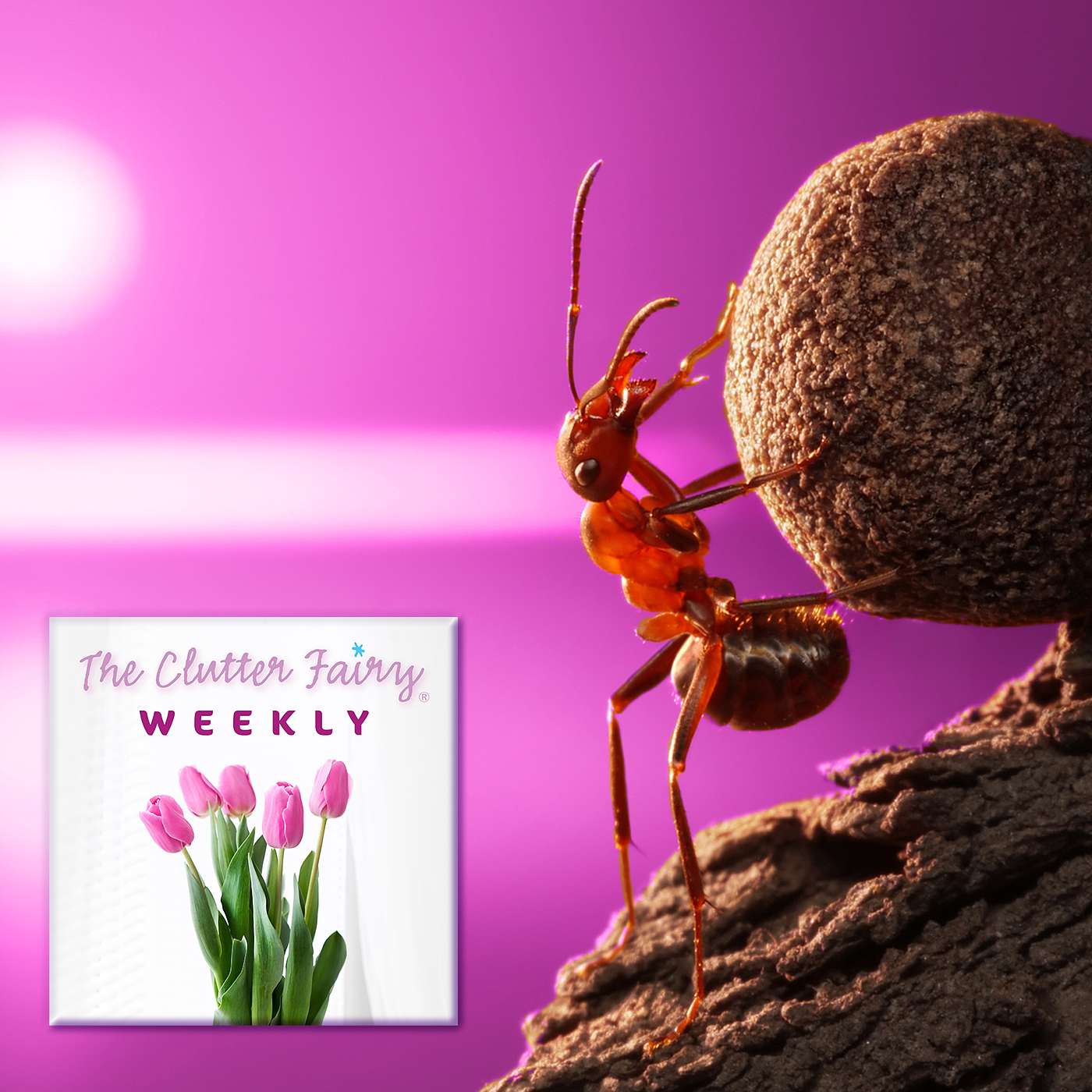 The Clutter Fairy Weekly #14 - Resistance to organizing and ways to overcome it
