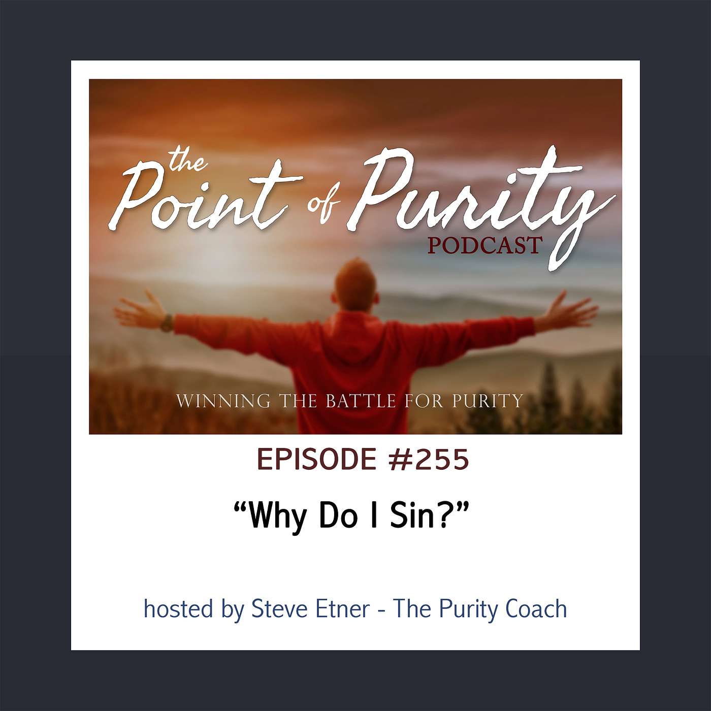 Why Do I Sin? - #255 episode artwork
