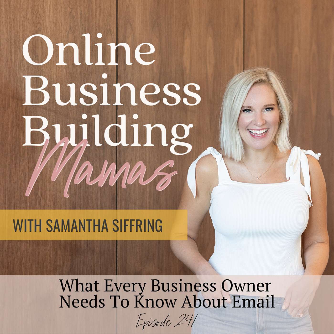 EP 241: What Every Business Owner Needs To Know About Email episode artwork