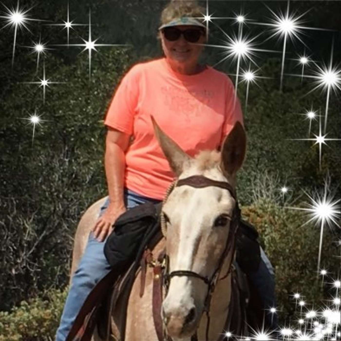 GUEST: MULE OWNER, LINDA KAY JONES