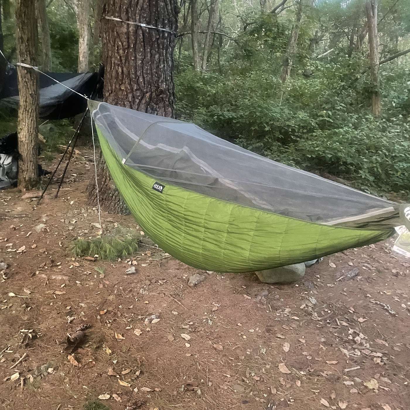 Hammock Camping