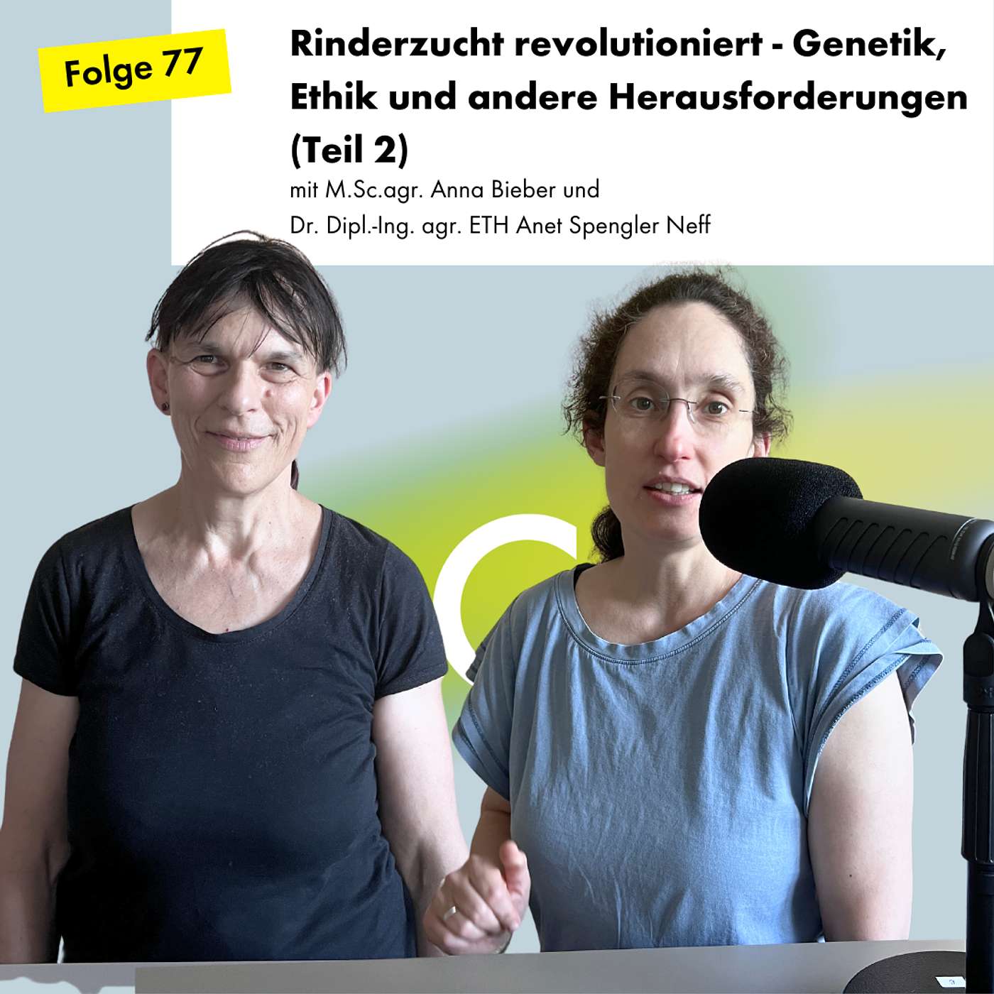 Rinderzucht revolutioniert - Genetik, Ethik und andere Herausforderungen (Teil 2)