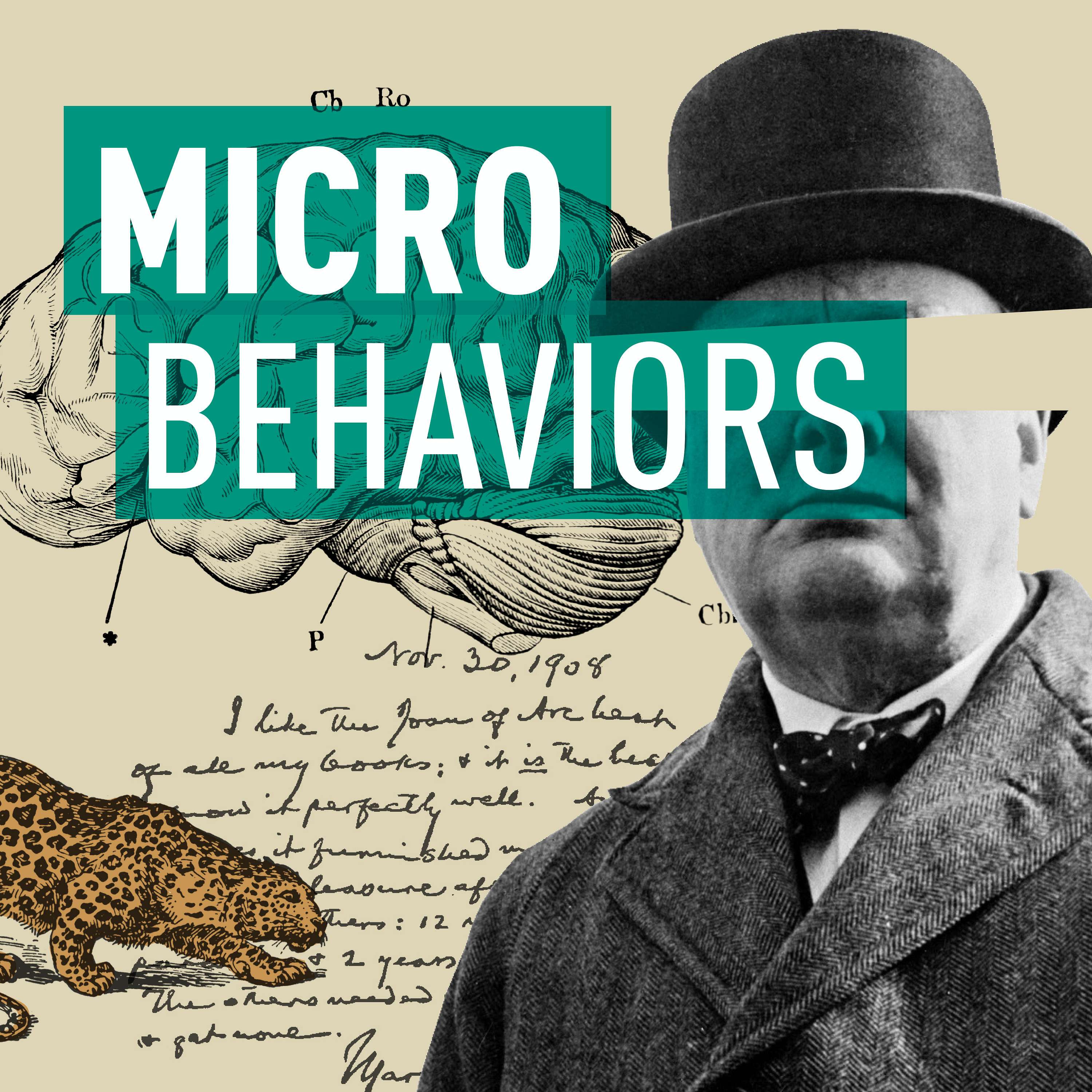 MicroBehaviors