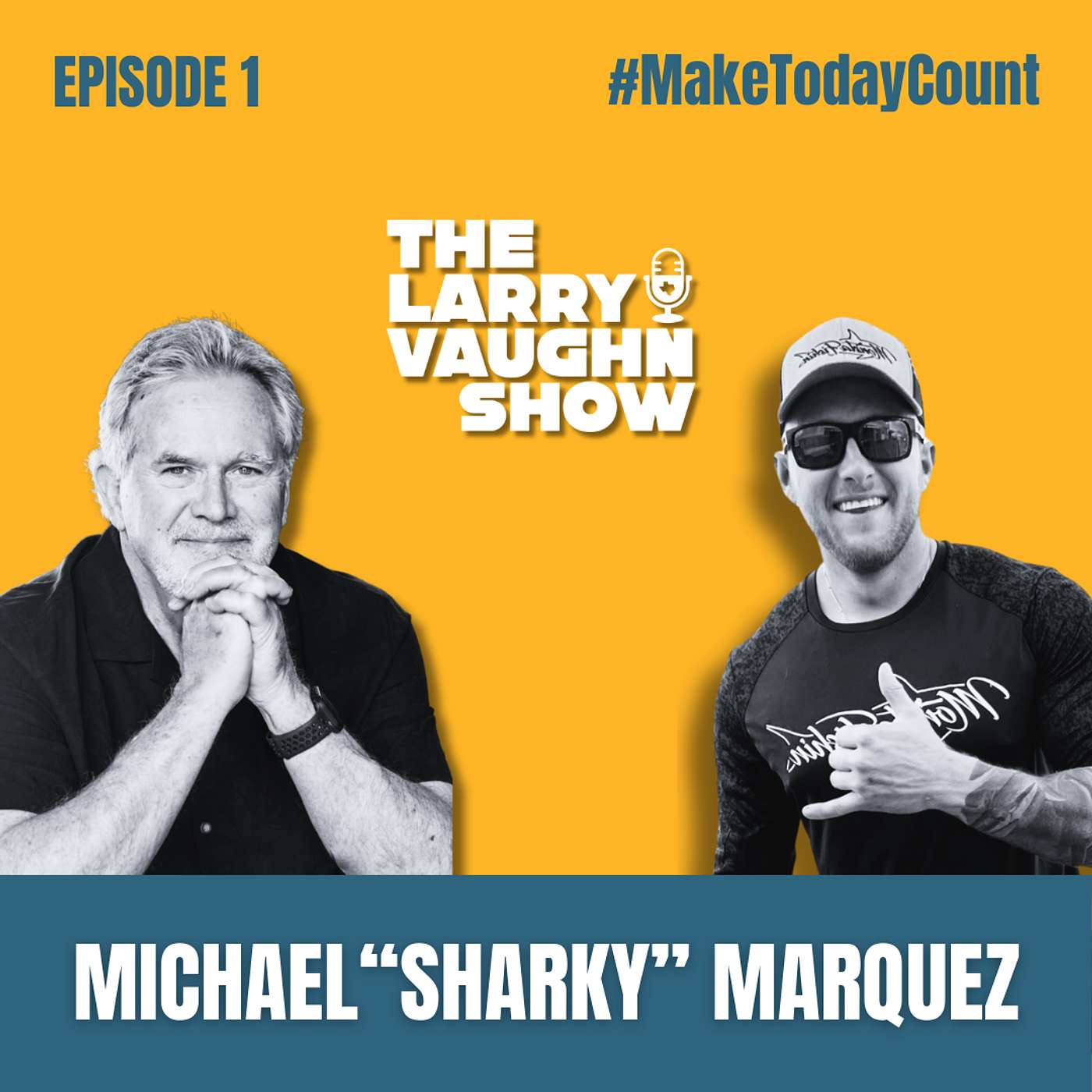 The Larry Vaughn Show