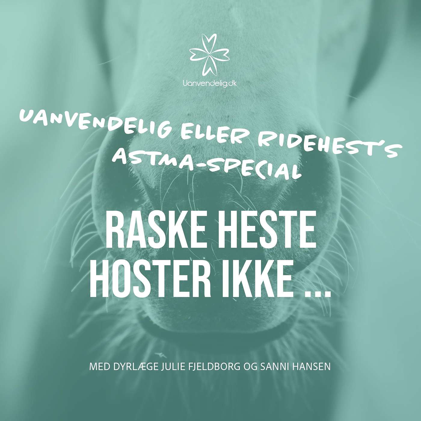 Astma-special: Raske heste hoster ikke - Med Julie Fjeldborg og Sanni Hansen