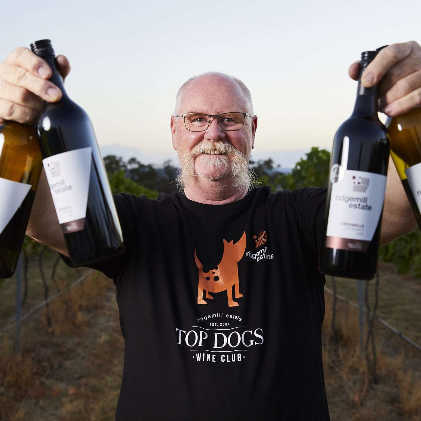 The Cellar Door Podcast