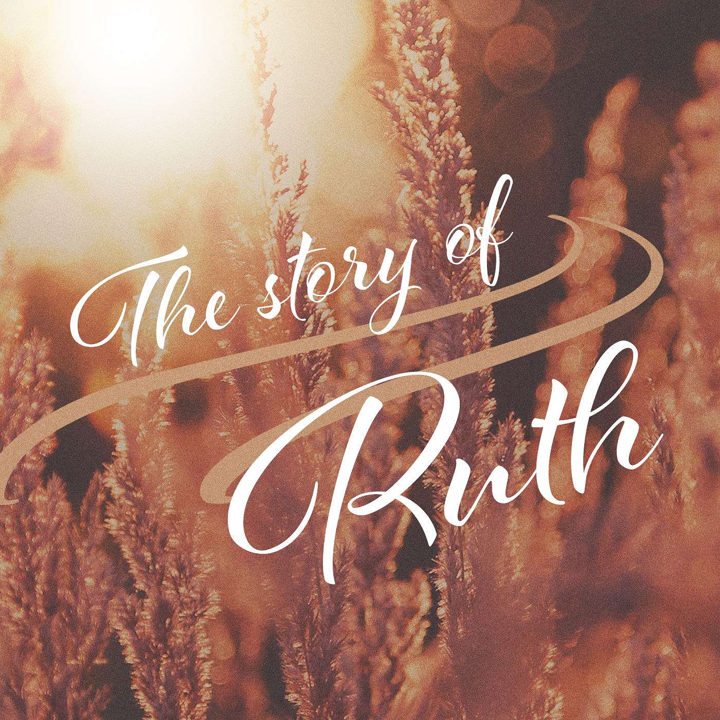Story of Ruth Part 1: Life's Circumstances