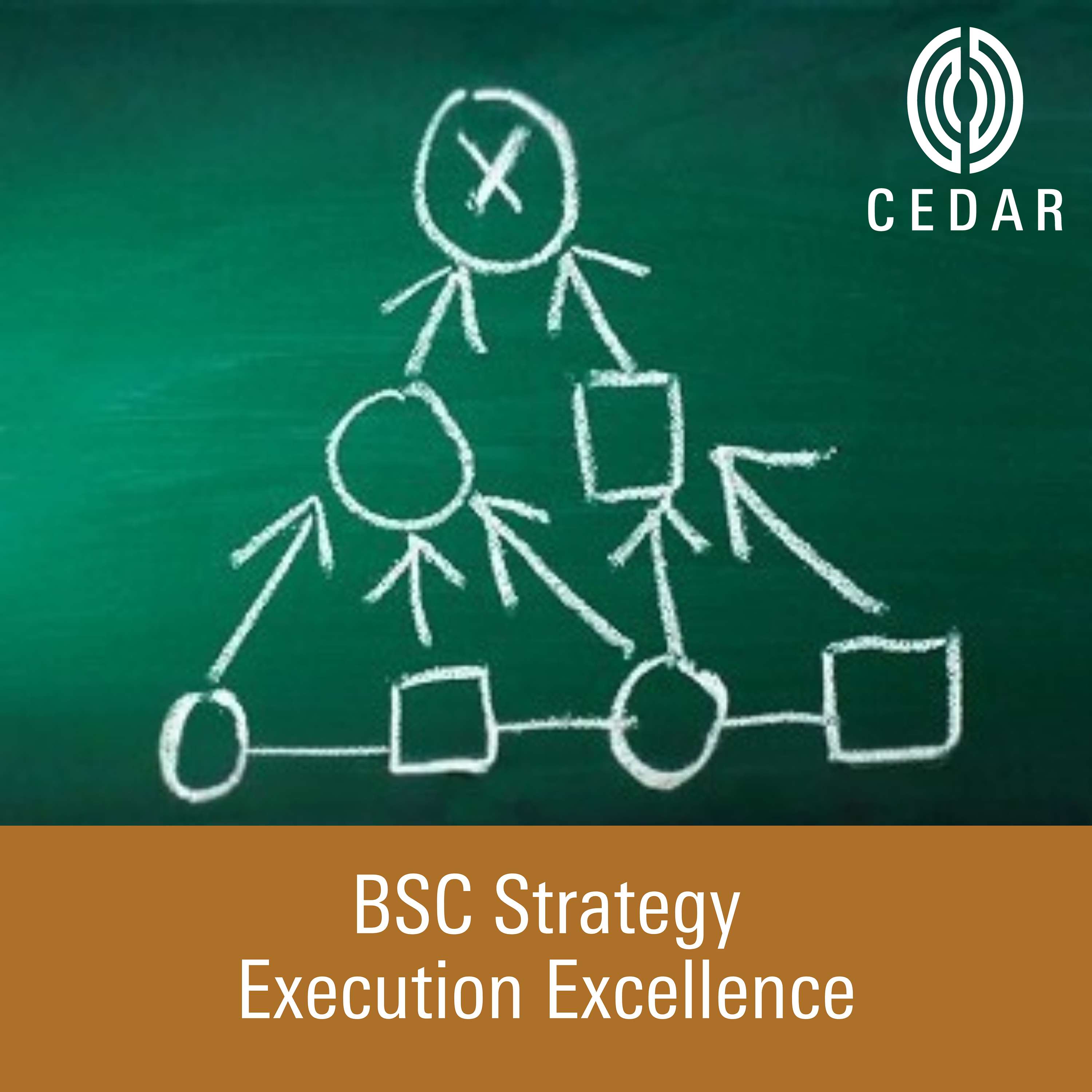 Cedar on BSC Strategy Execution Excellence cover art