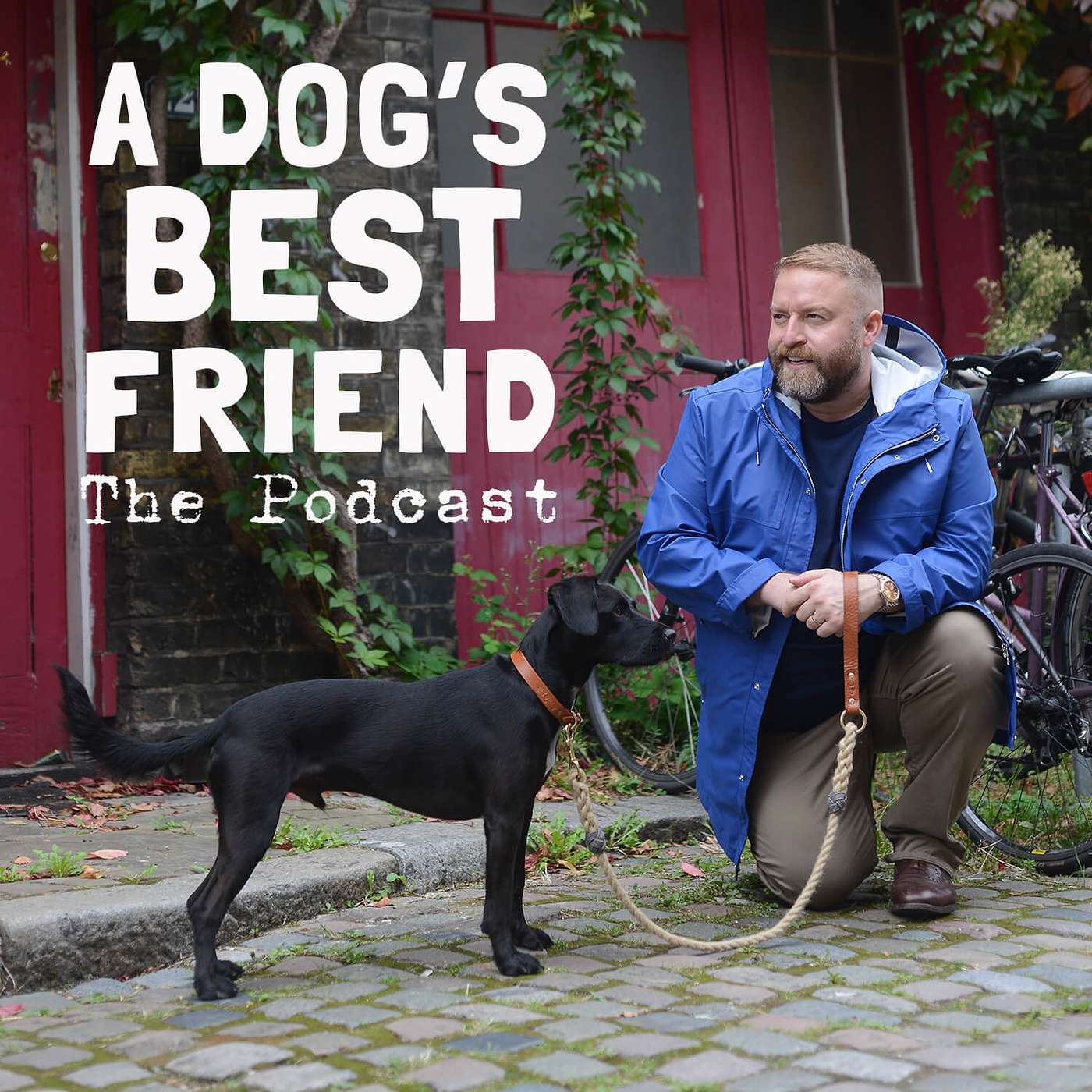 A Dog\'s Best Friend