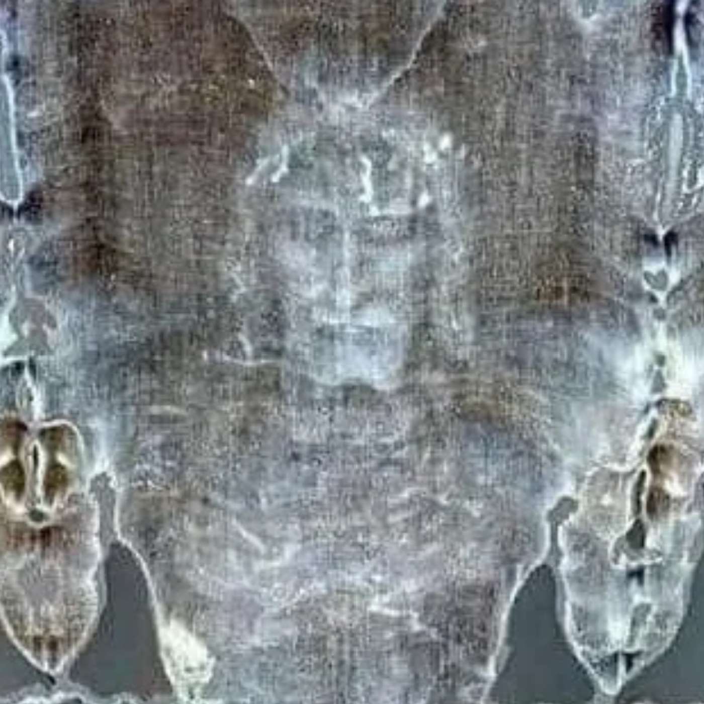 The Shroud of Turin the Silent Witness