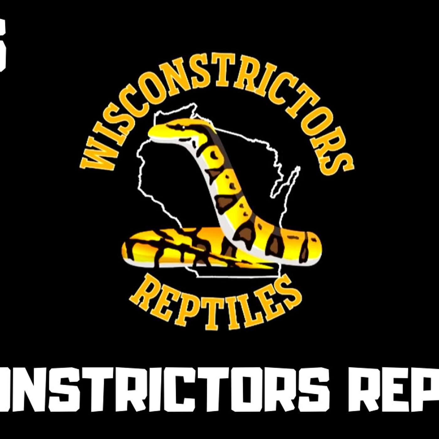 #146 WIS-CONSTRICTORS REPTILES | BALL PYTHONS | NEW BREEDER ON THE BLOCK SERIES | TRAP TALK