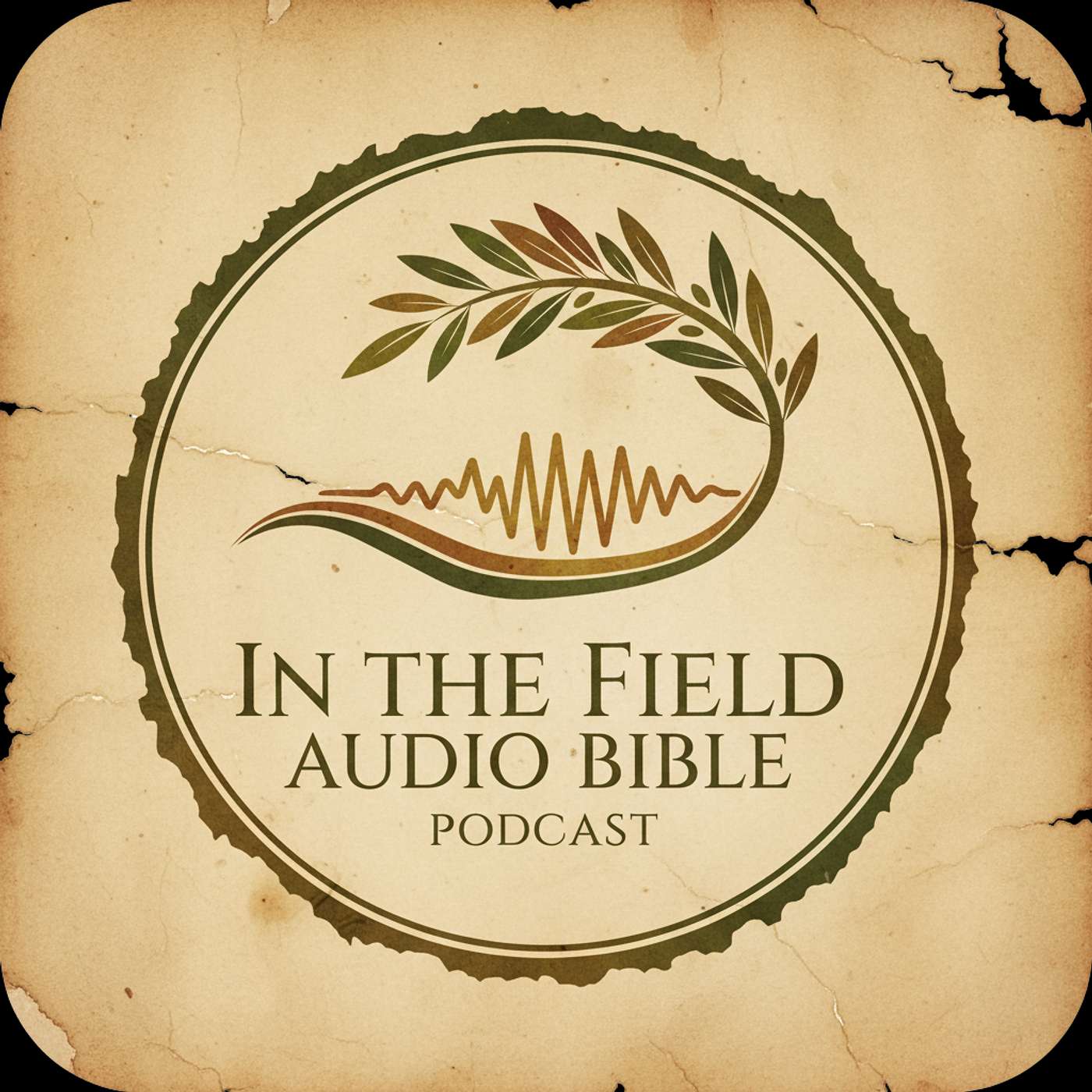 In the Field Audio Bible