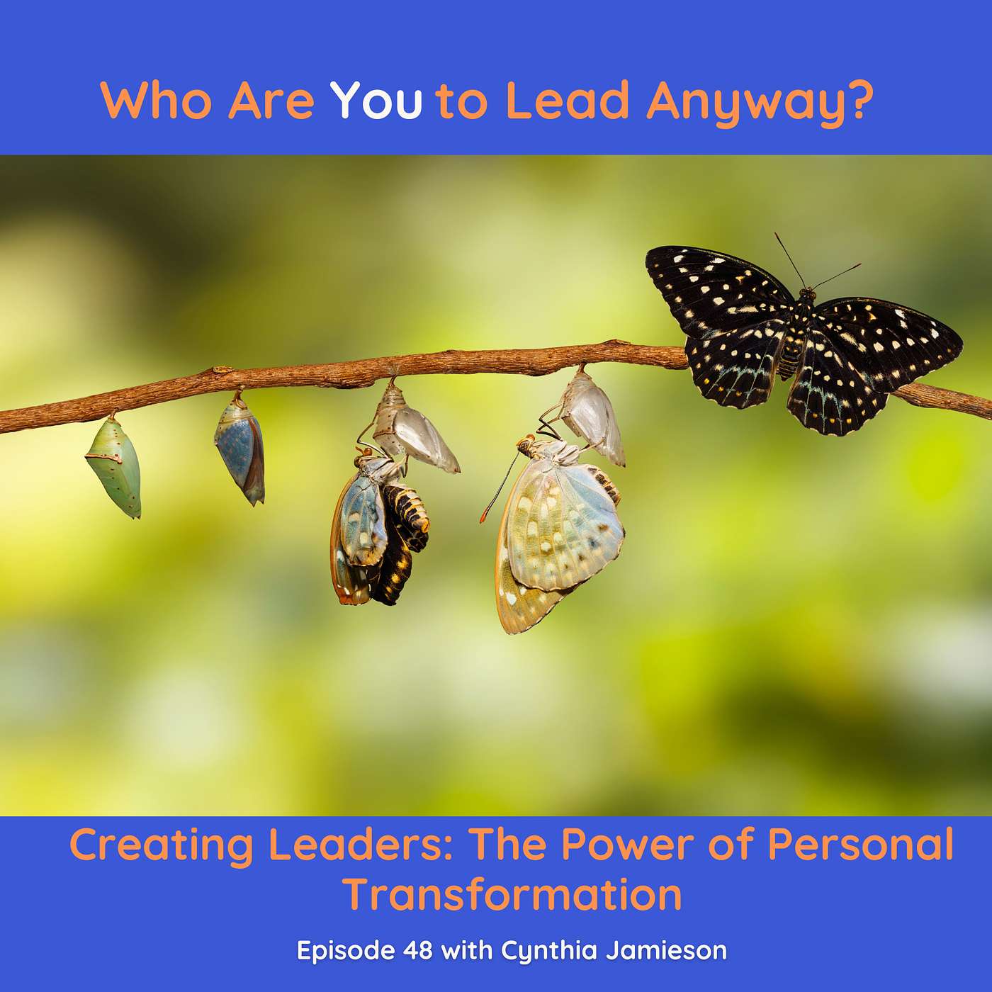 E48: Breaking Free: A Journey from Perfectionism to Leadership Greatness Through Coaching episode artwork