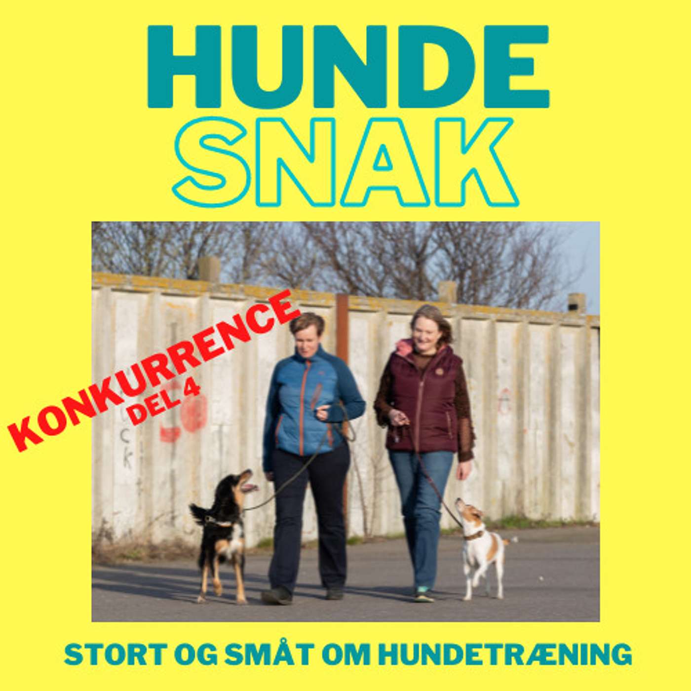 11 Konkurrecedagen 11 Konkurrecedagen