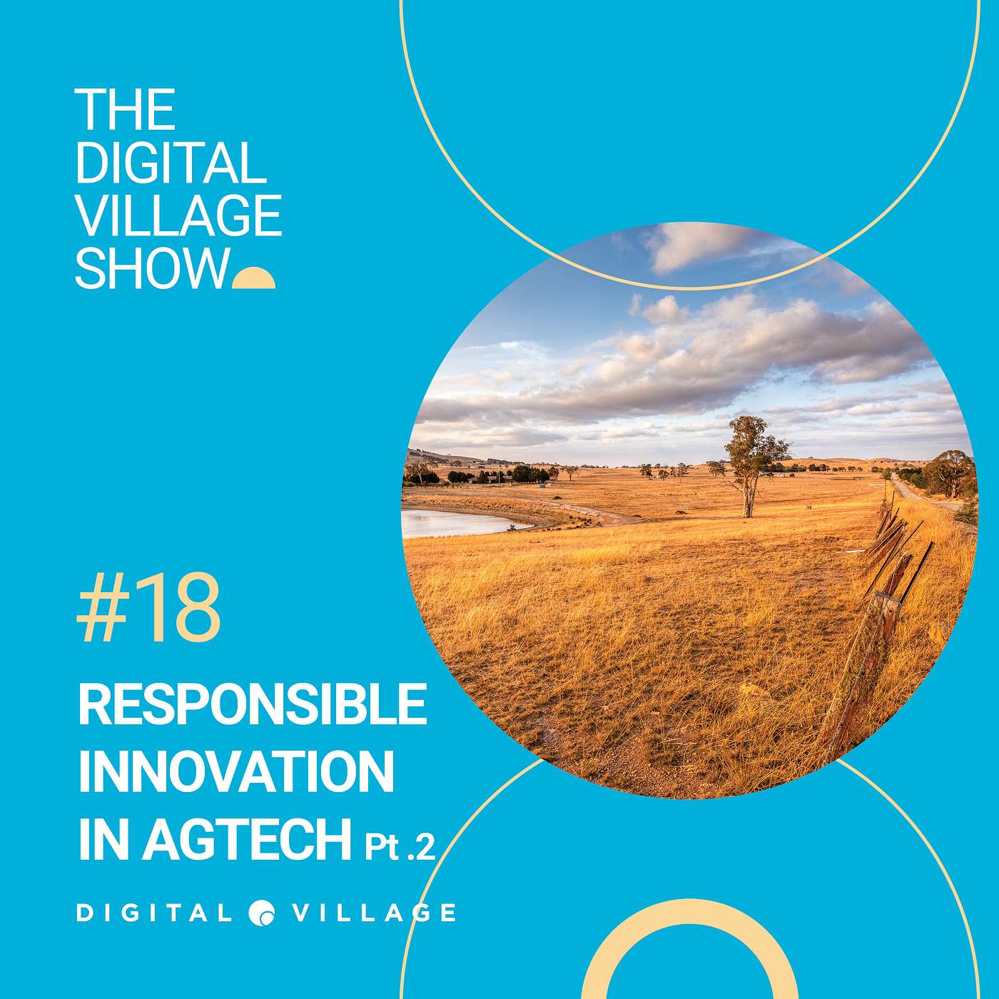 The Digital Village Show