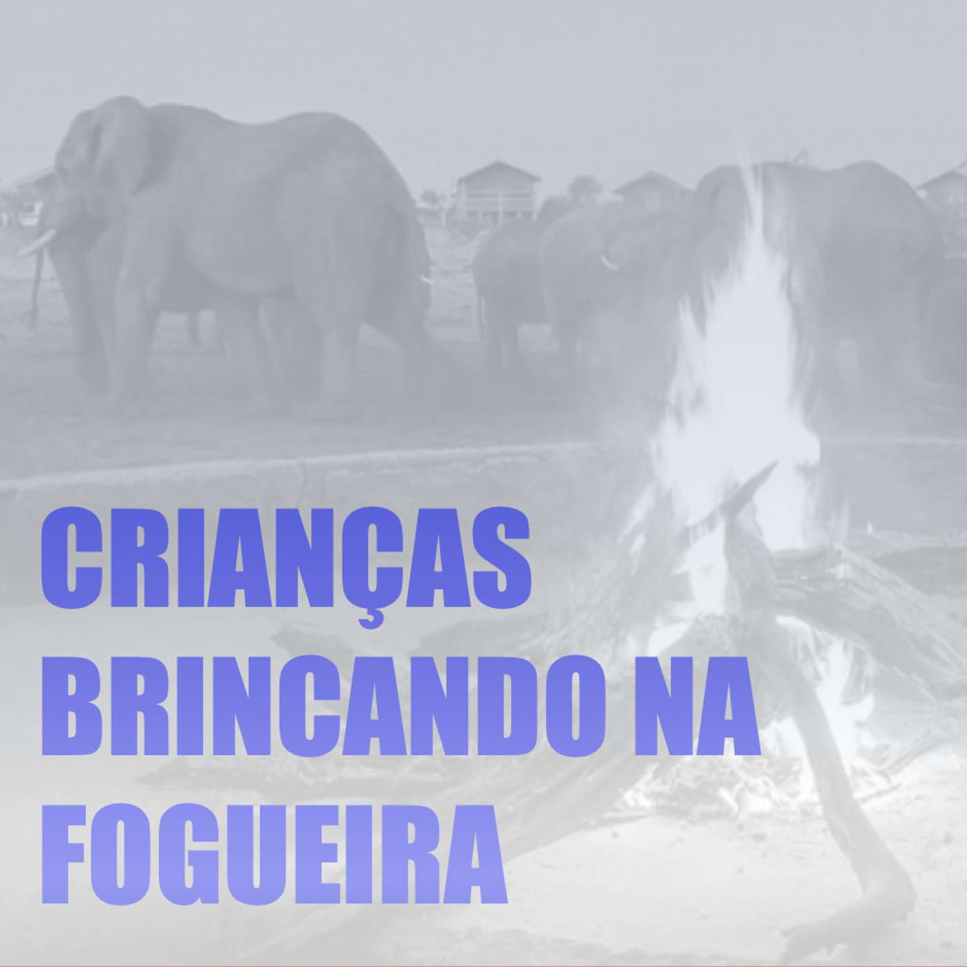 Elefantes na Neblina