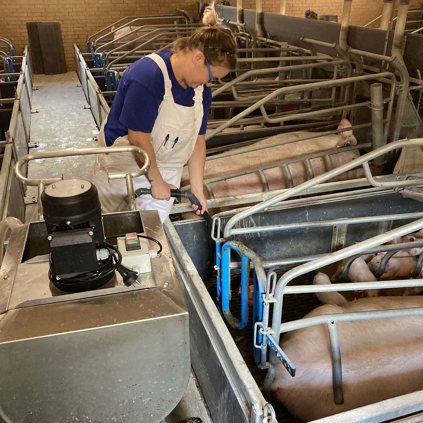 SEGES Økonomi og virksomhedsledelse