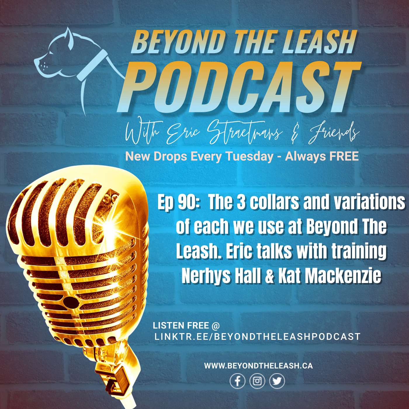 Ep 90: The 3 collars and variations of each we use at Beyond The Leash