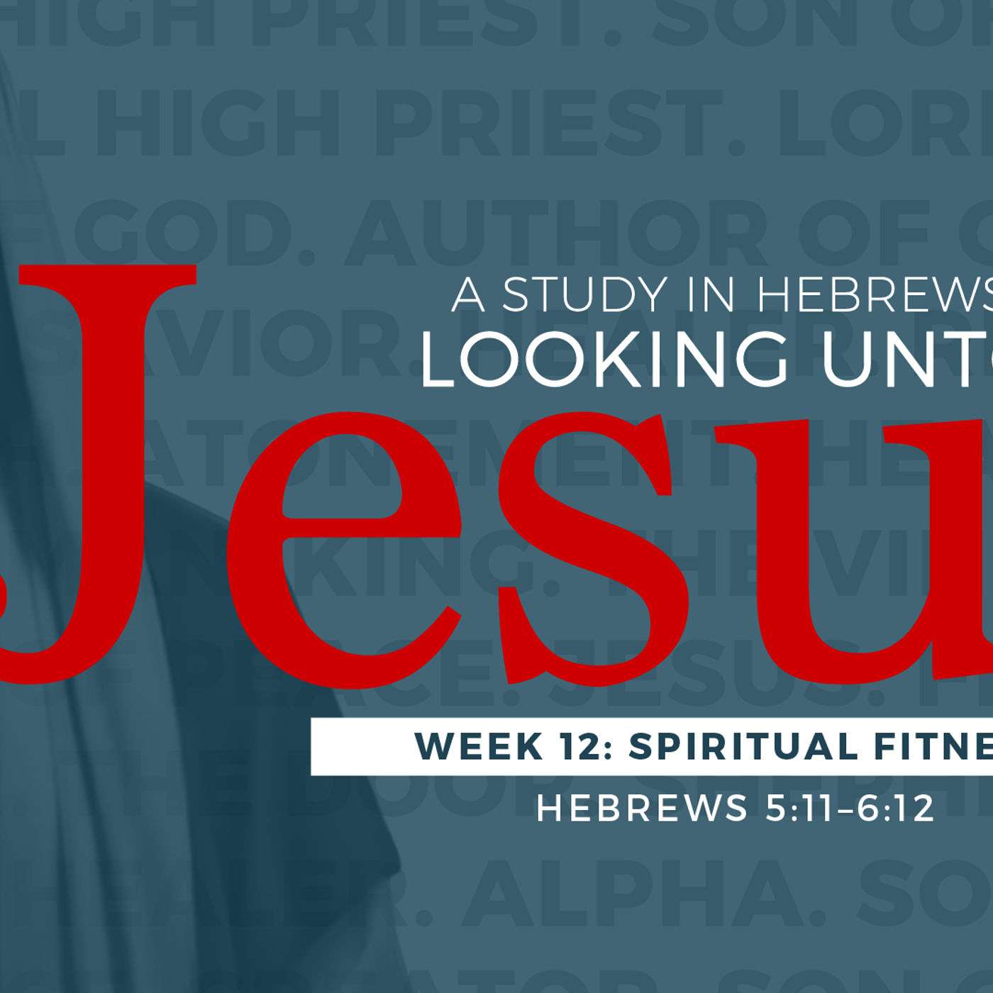 11-5-17 Spiritual Fitness #12 in series on Hebrews Looking Unto Jesus episode artwork