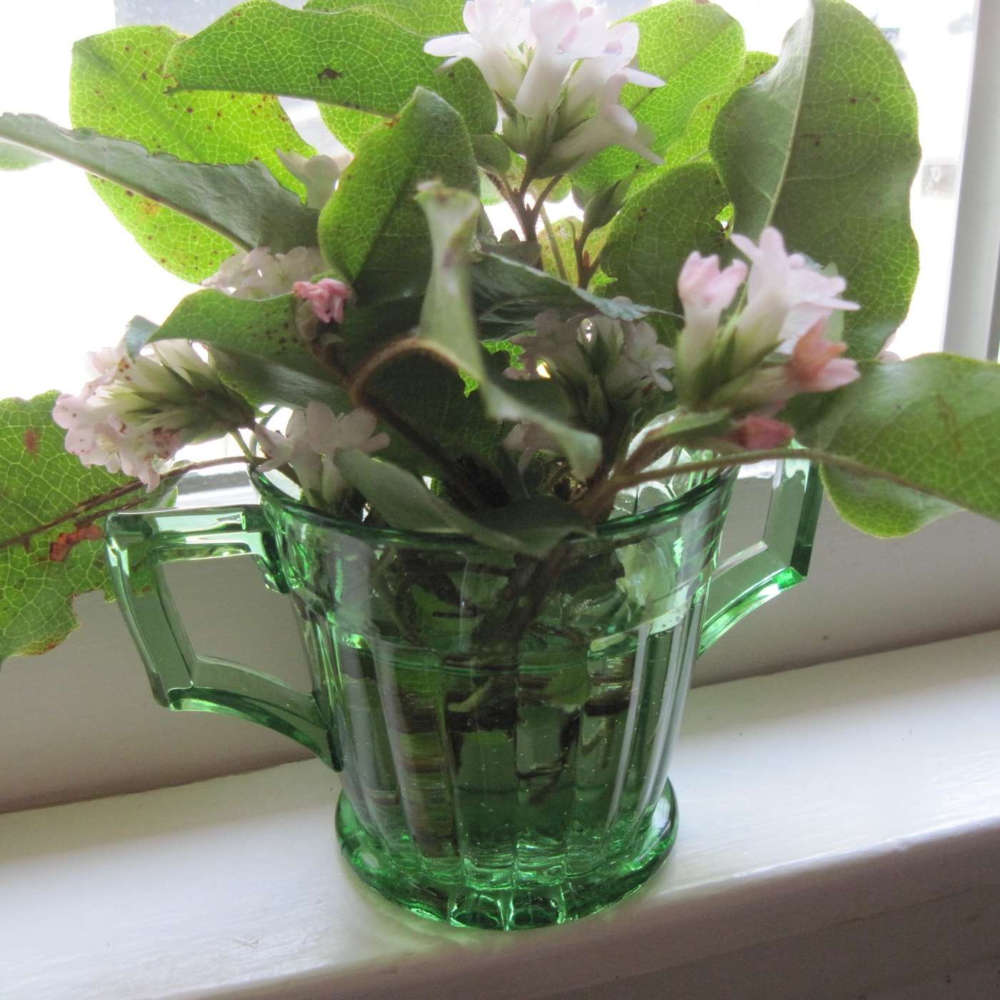 A VERY SPECIAL SMELL