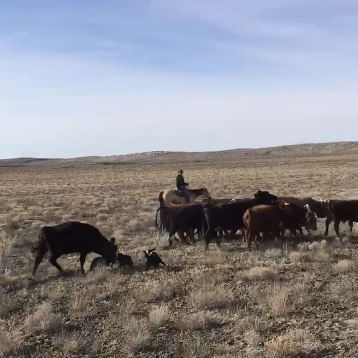 Richard Winters Unbridled Podcast