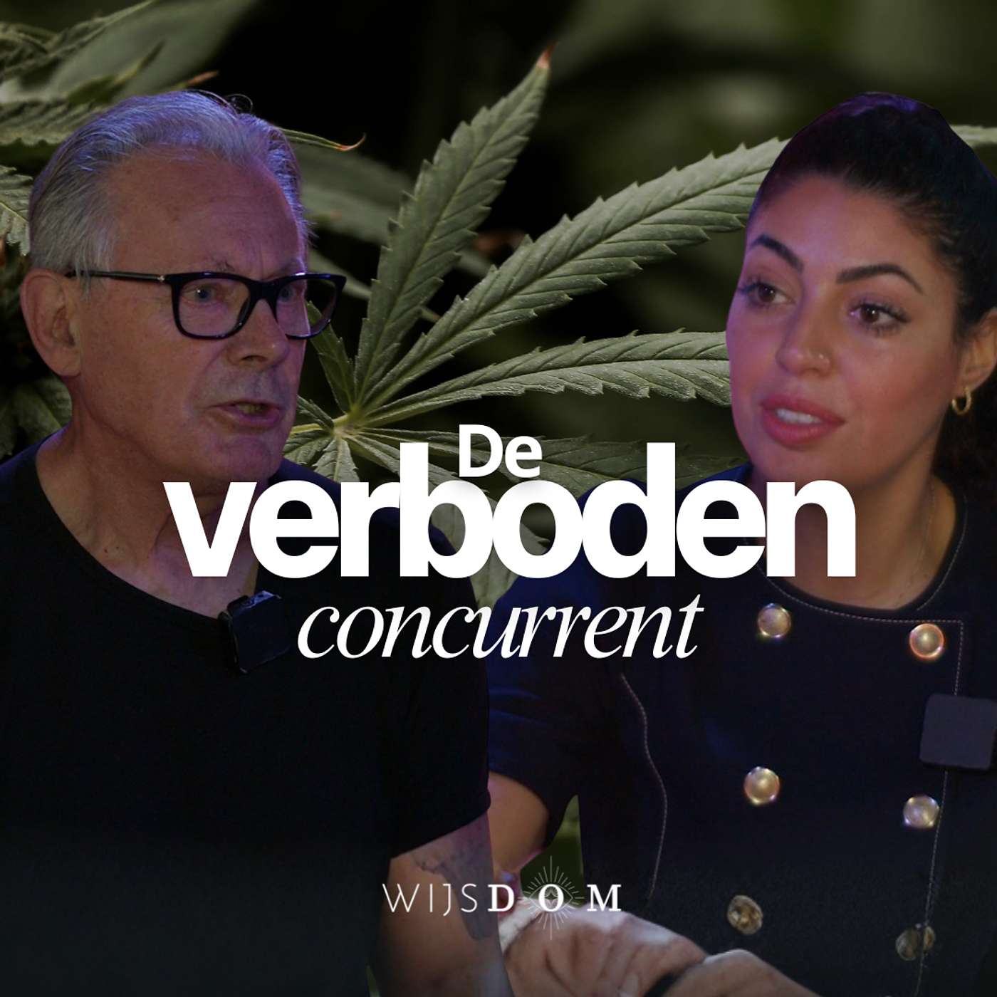 Waarom Rockefeller en big pharma hennep lieten verbieden — Hans Kamperman | WijsDom Podcast