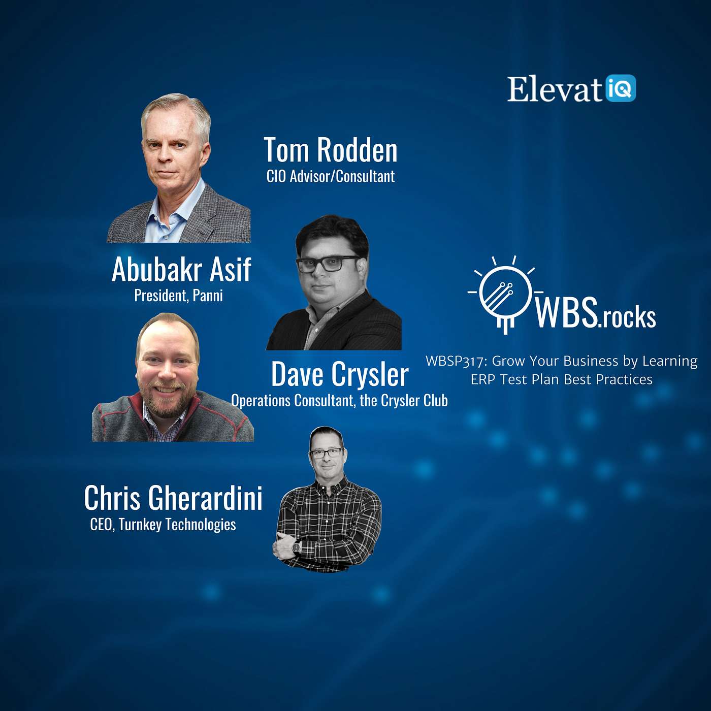 WBSP317: Grow Your Business by Learning ERP Test Plan Best Practices, a Live Interview w/ a Panel of Experts