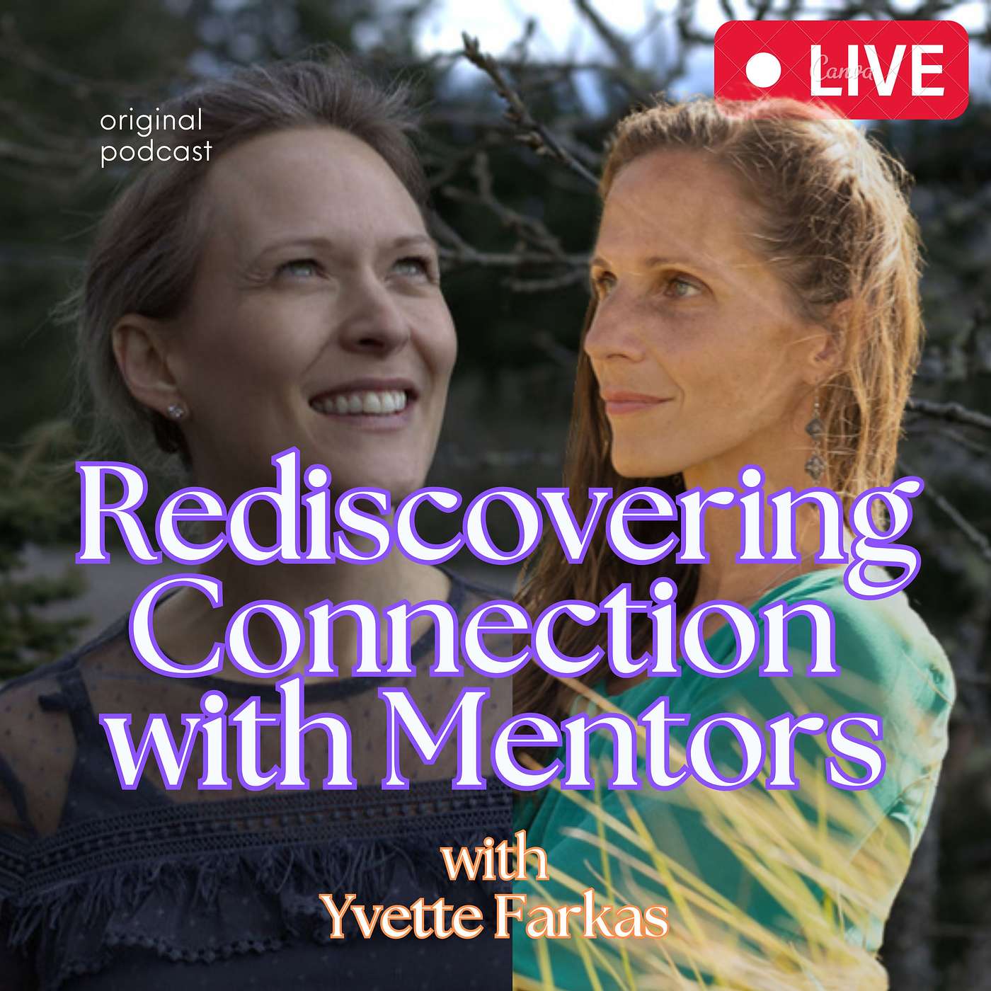 Rediscovering Connection with Shelley Doyle