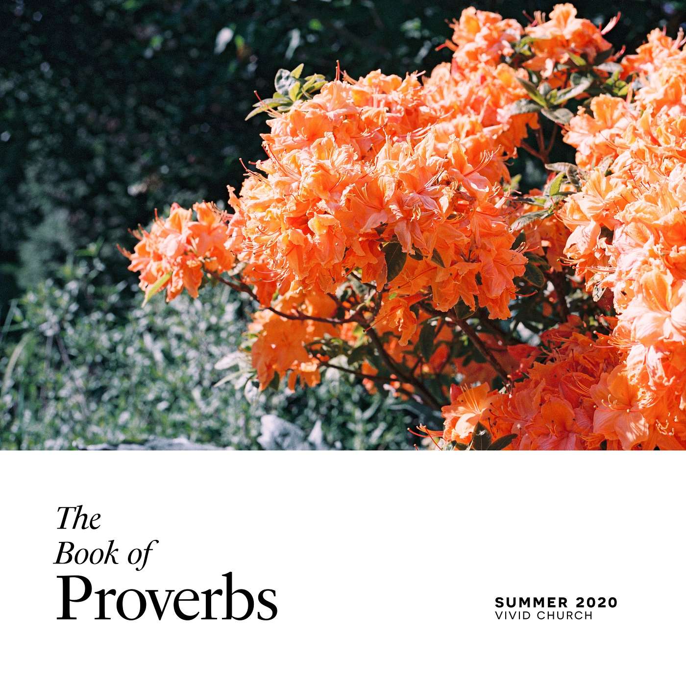 Vivid Church Podcast