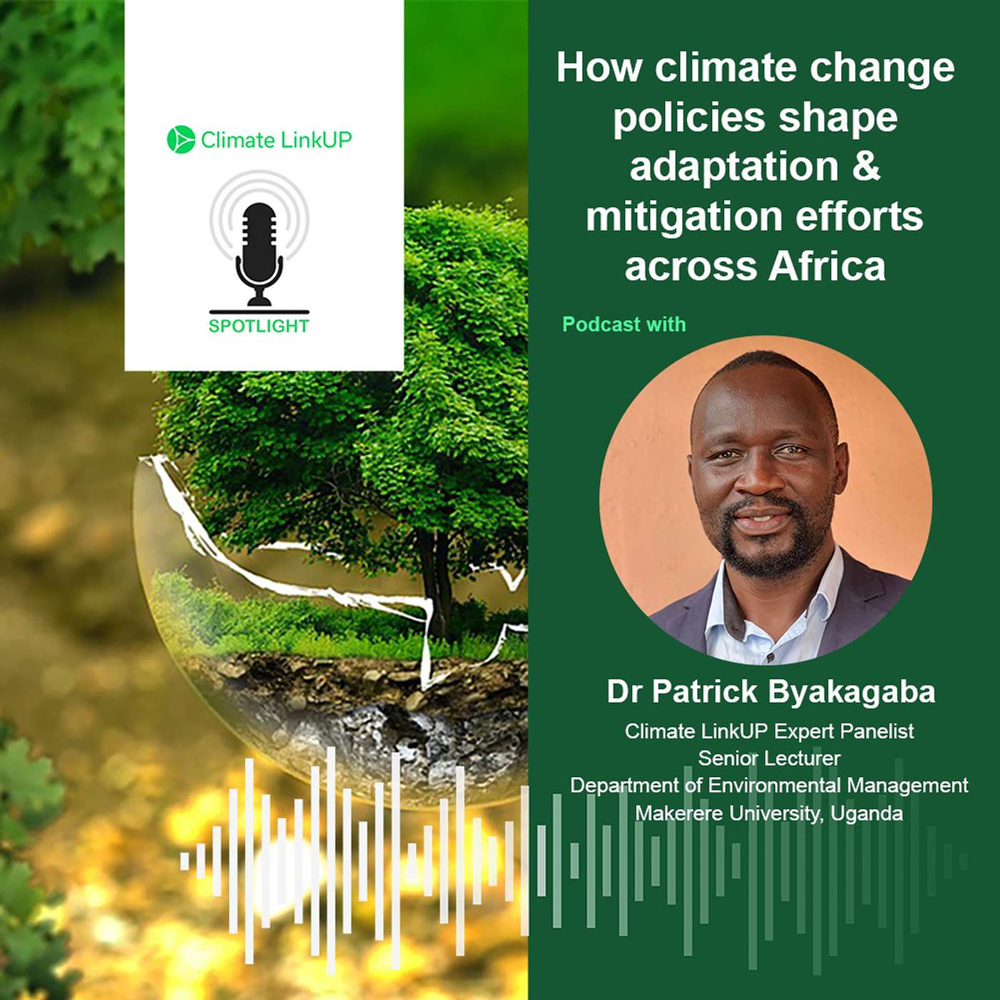 How climate change policies shape adaptation and mitigation efforts across Africa How climate change policies shape adaptation and mitigation efforts across Africa