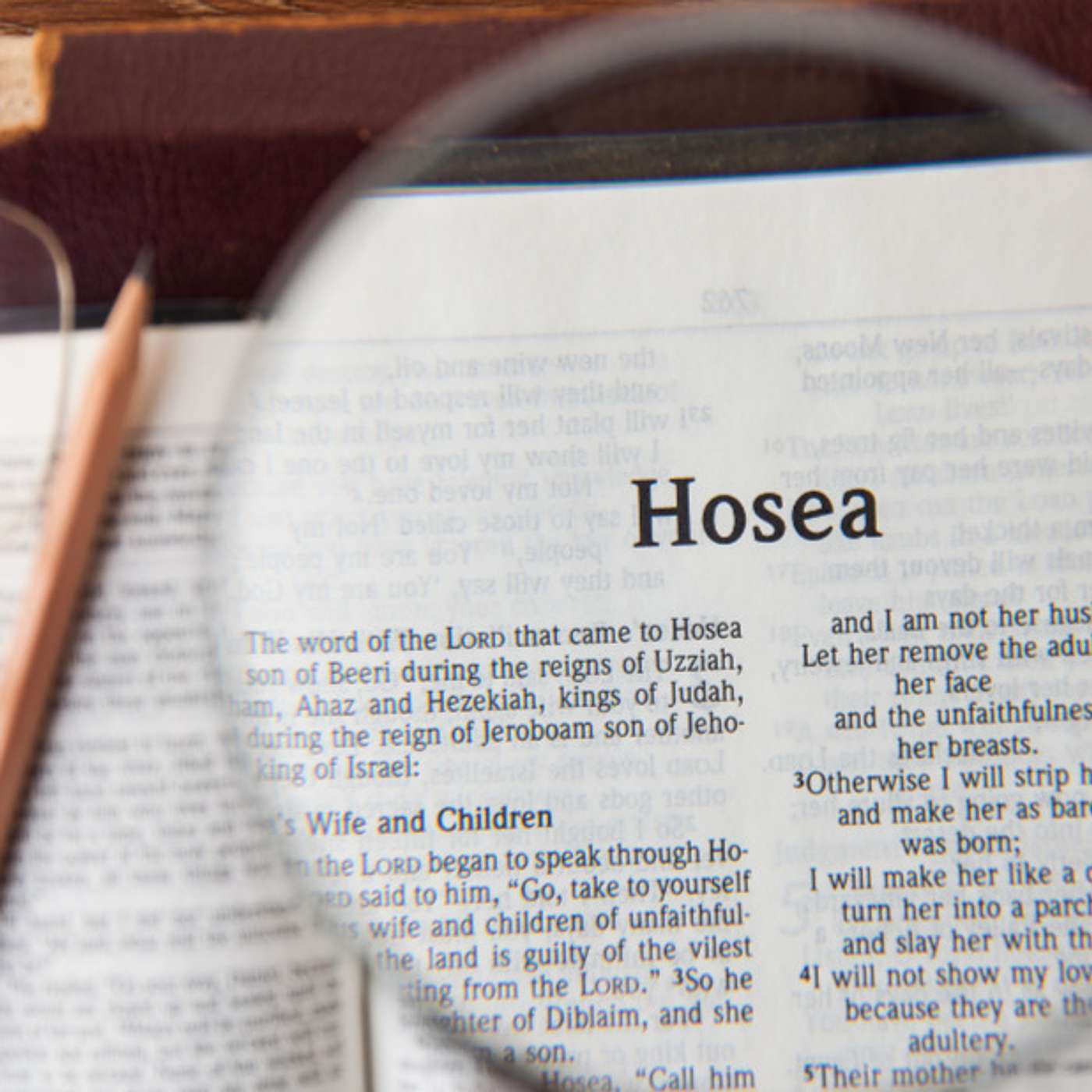 Hearing God - Hosea