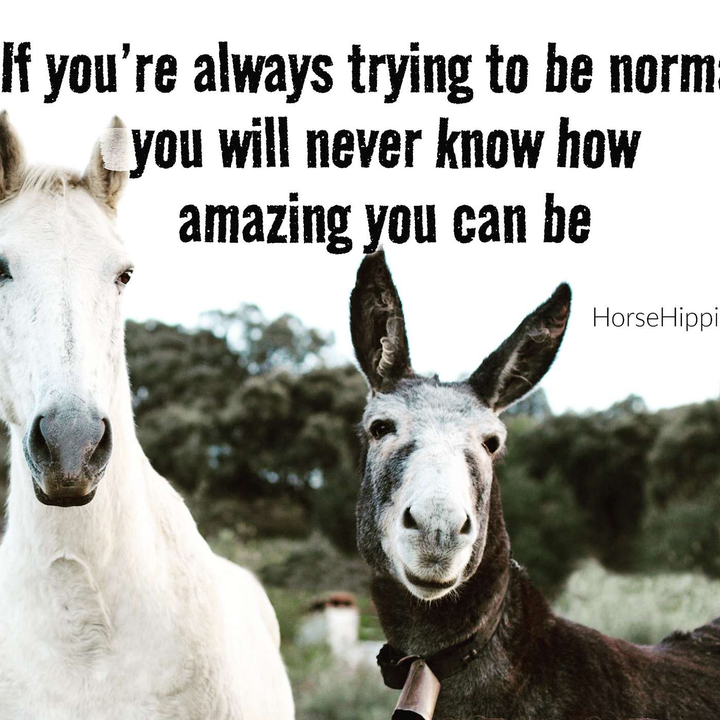 What’s Normal Anyway?