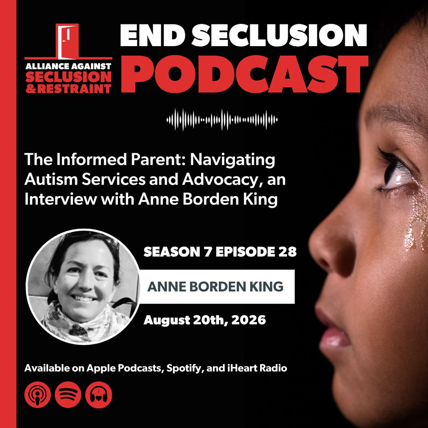 The Informed Parent: Navigating Autism Services and Advocacy, an Interview with Anne Borden King