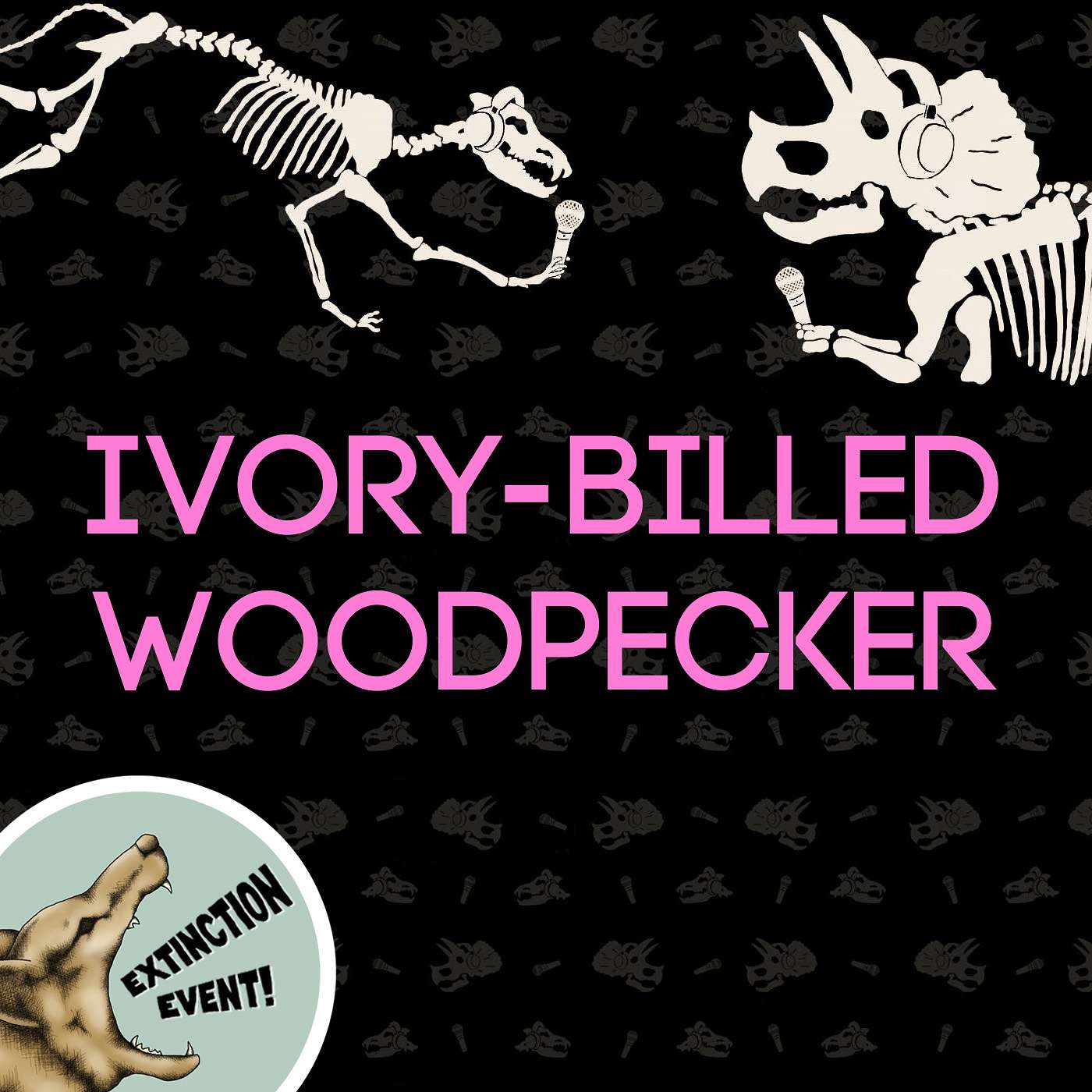 Ivory-Billed Woodpecker