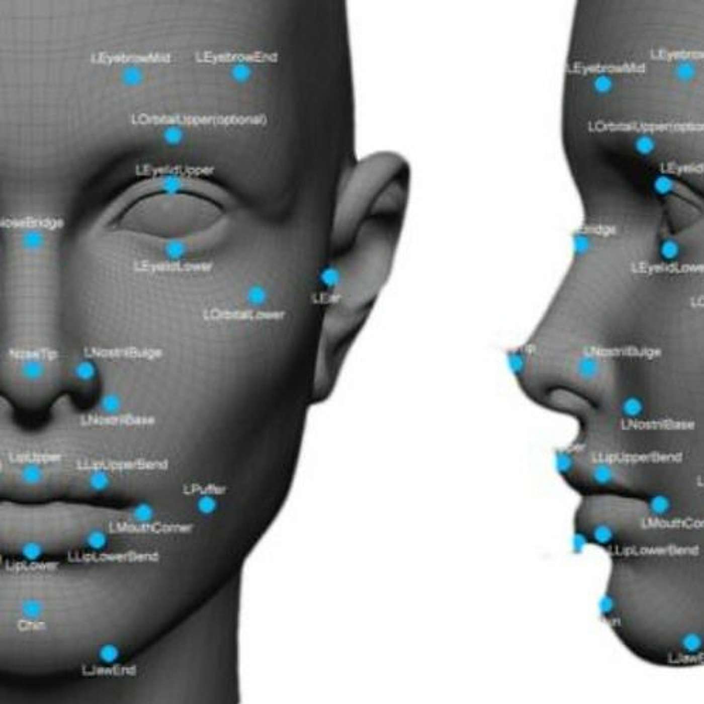 Biblical Face Recognition Technology